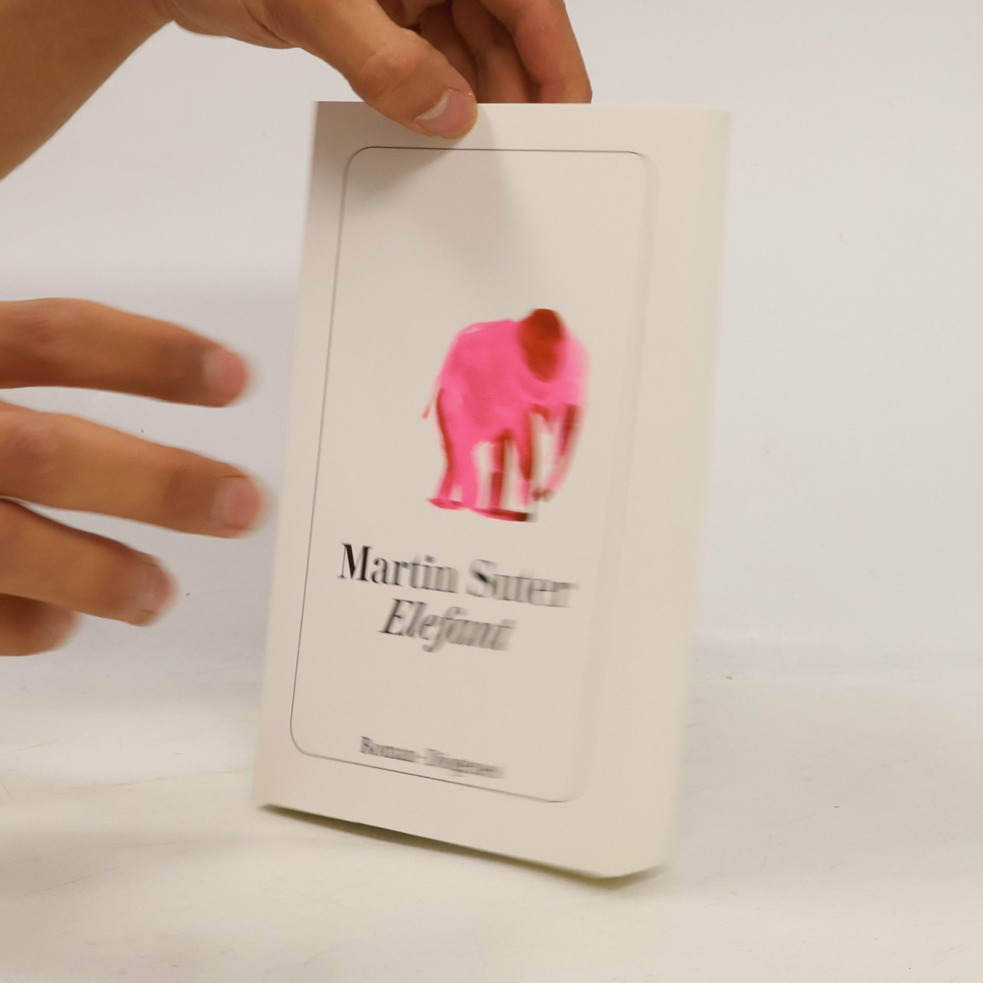 Martin Suter Elefant