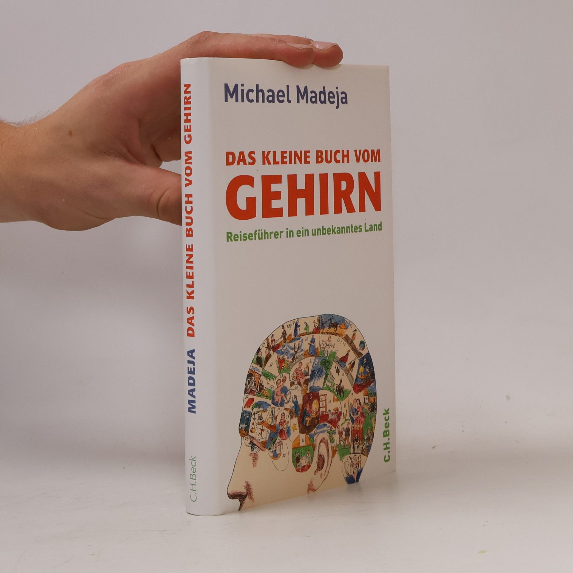 Das kleine Buch vom Gehirn