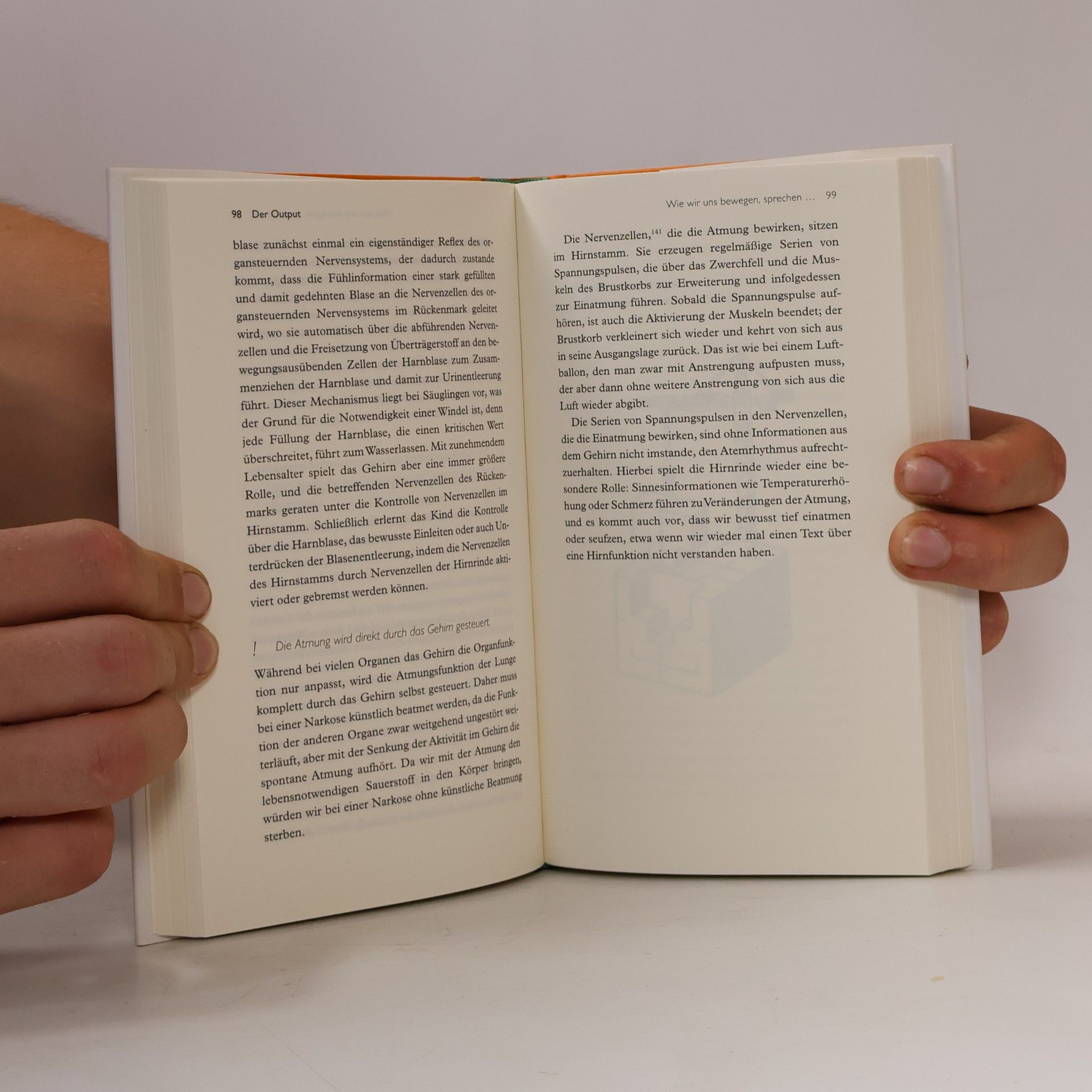 Michael Madeja Das kleine Buch vom Gehirn