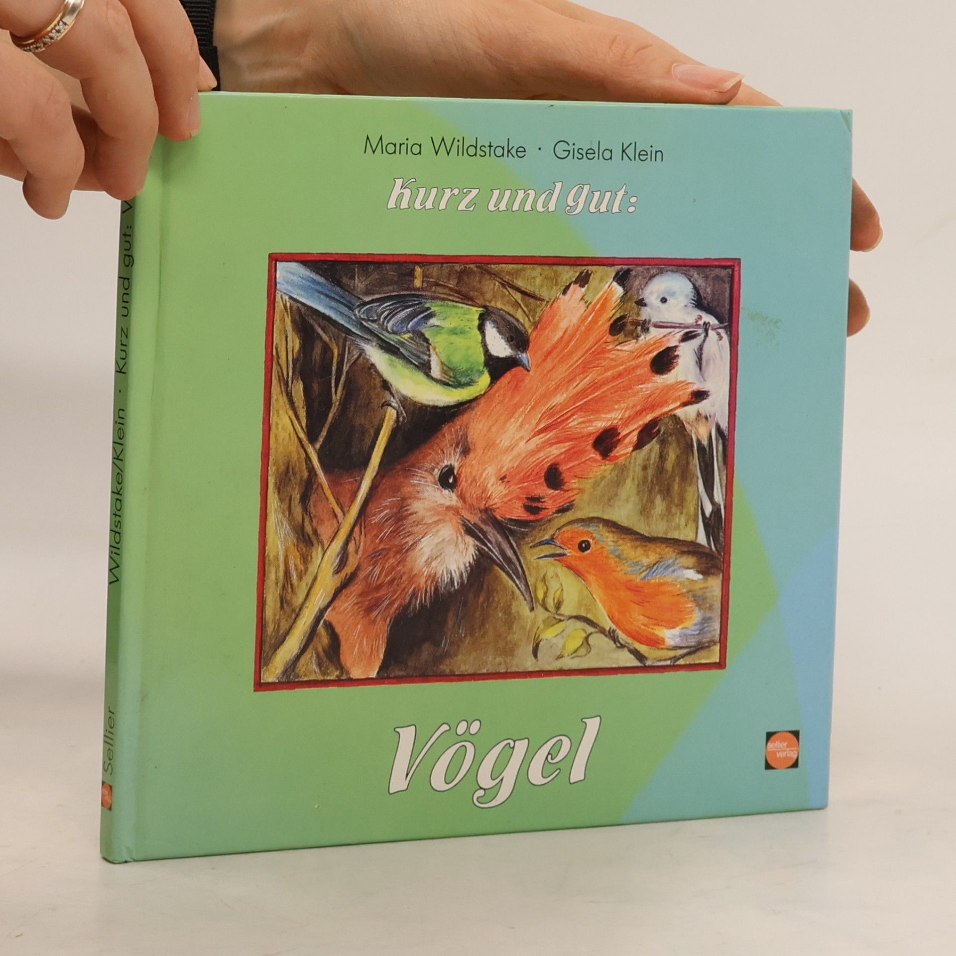 Maria Wildstake Kurz und gut: Vögel