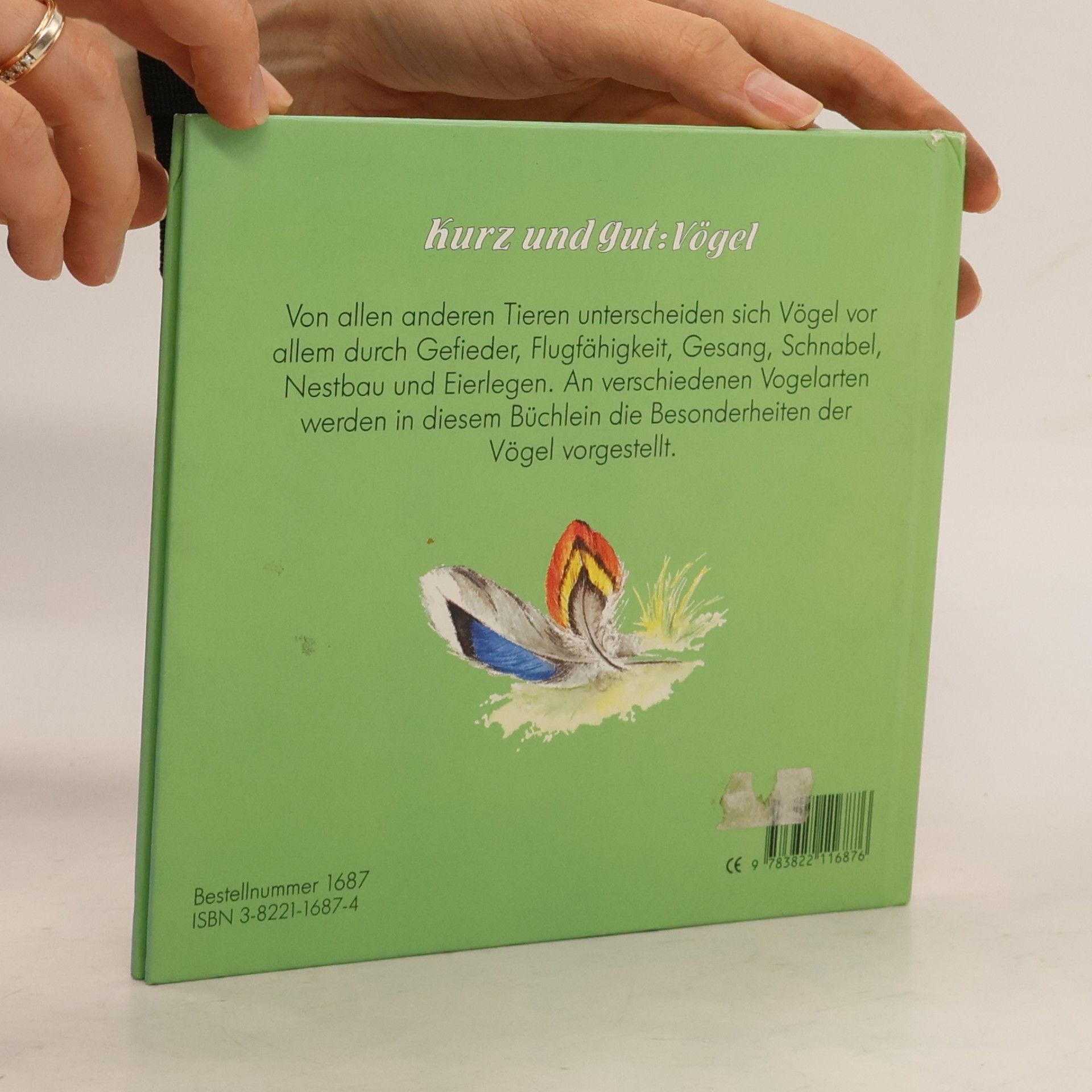Maria Wildstake Kurz und gut: Vögel