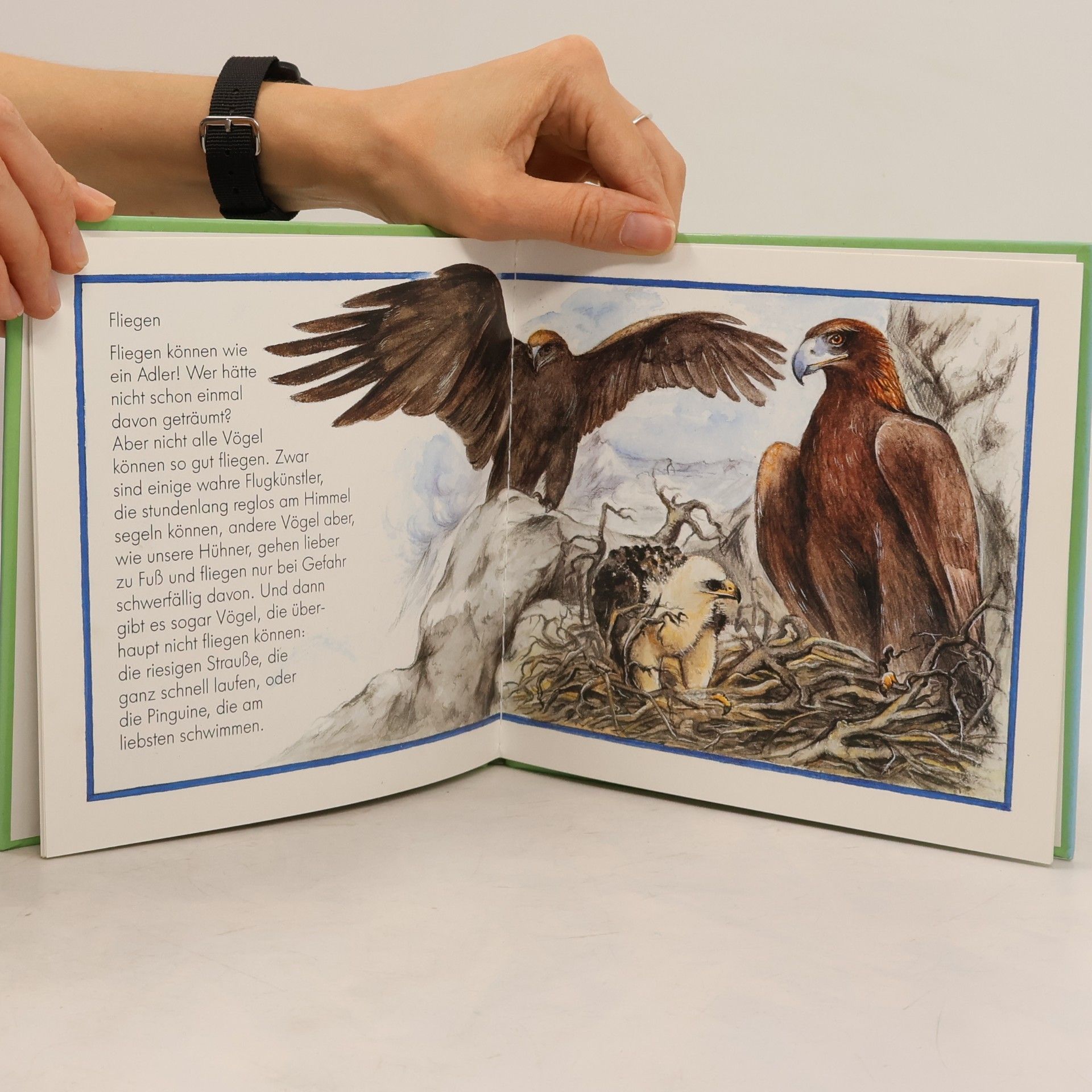 Maria Wildstake Kurz und gut: Vögel