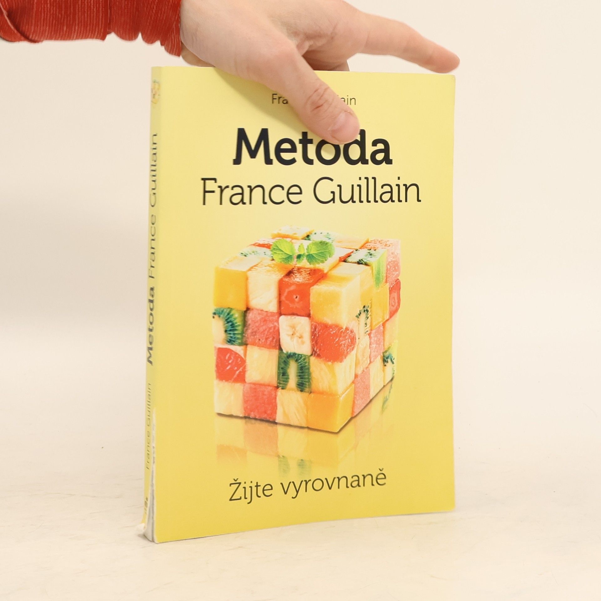 France Guillain Metoda France Guillain