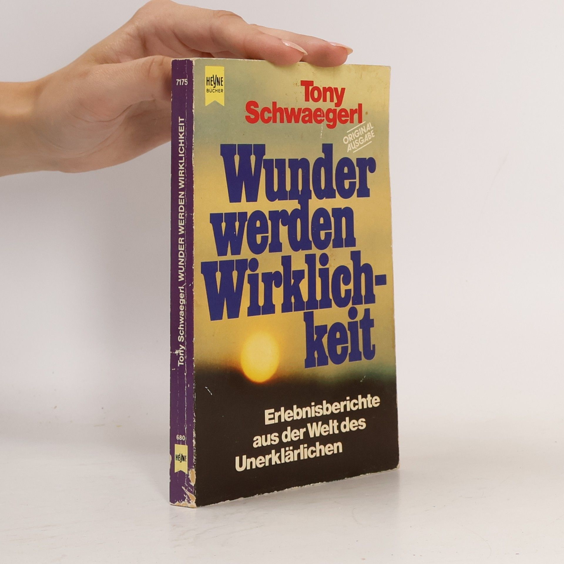 Tony Schwaegerl Wunder werden Wirklichkeit
