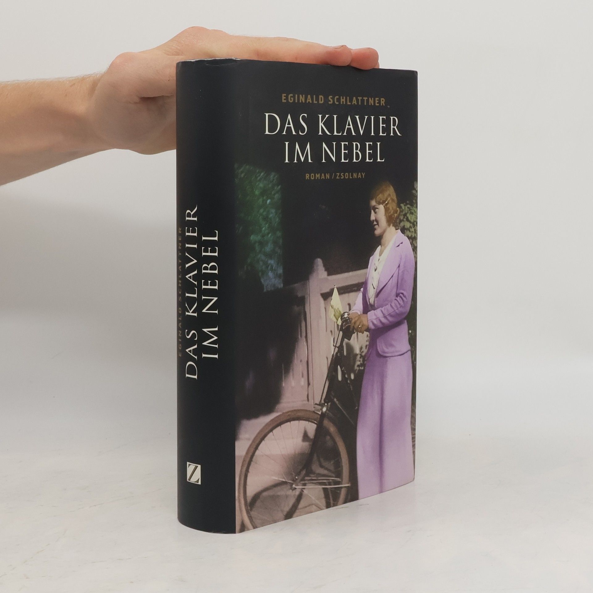 Eginald Schlattner Das Klavier im Nebel