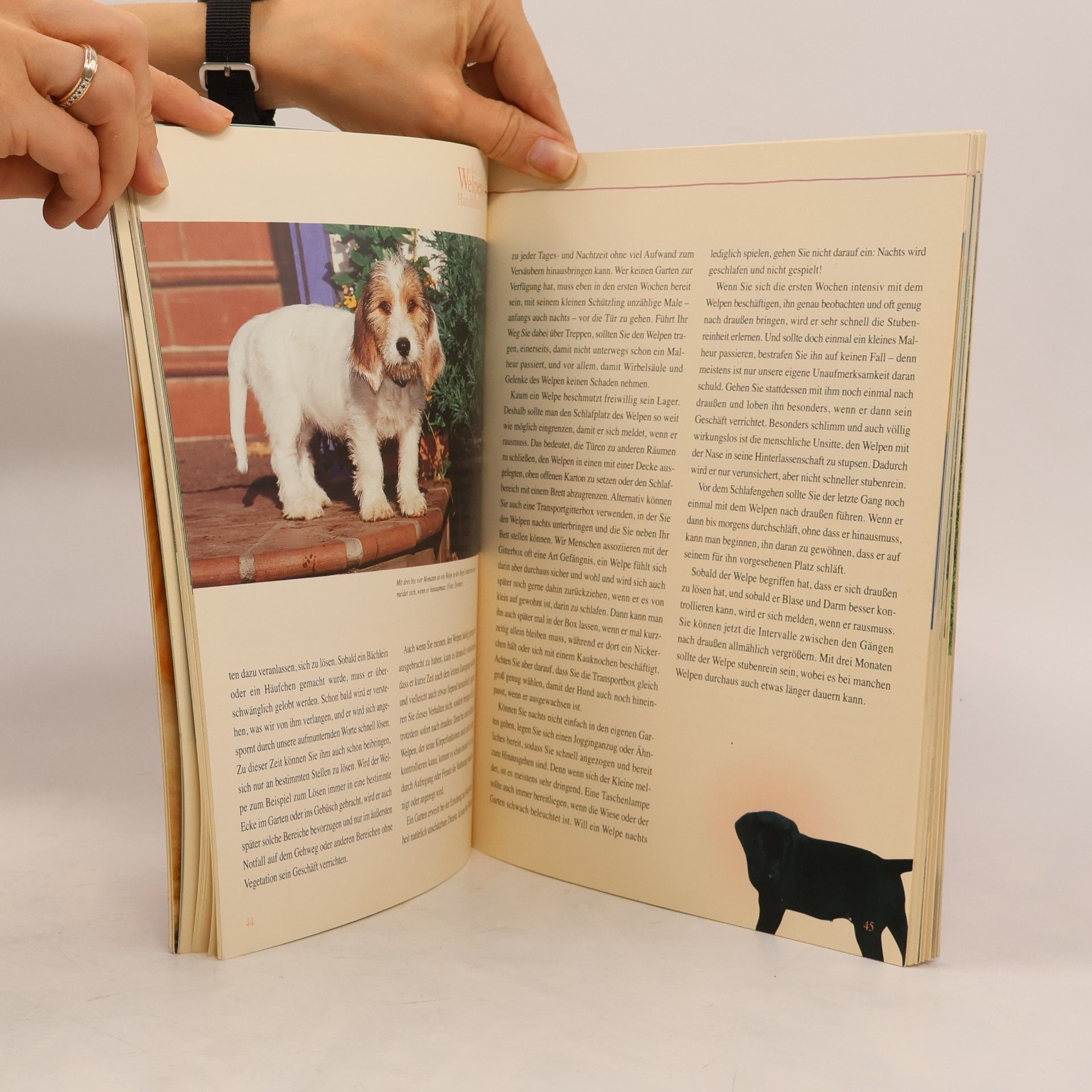Gabriele Lehari Das Welpen-Handbuch