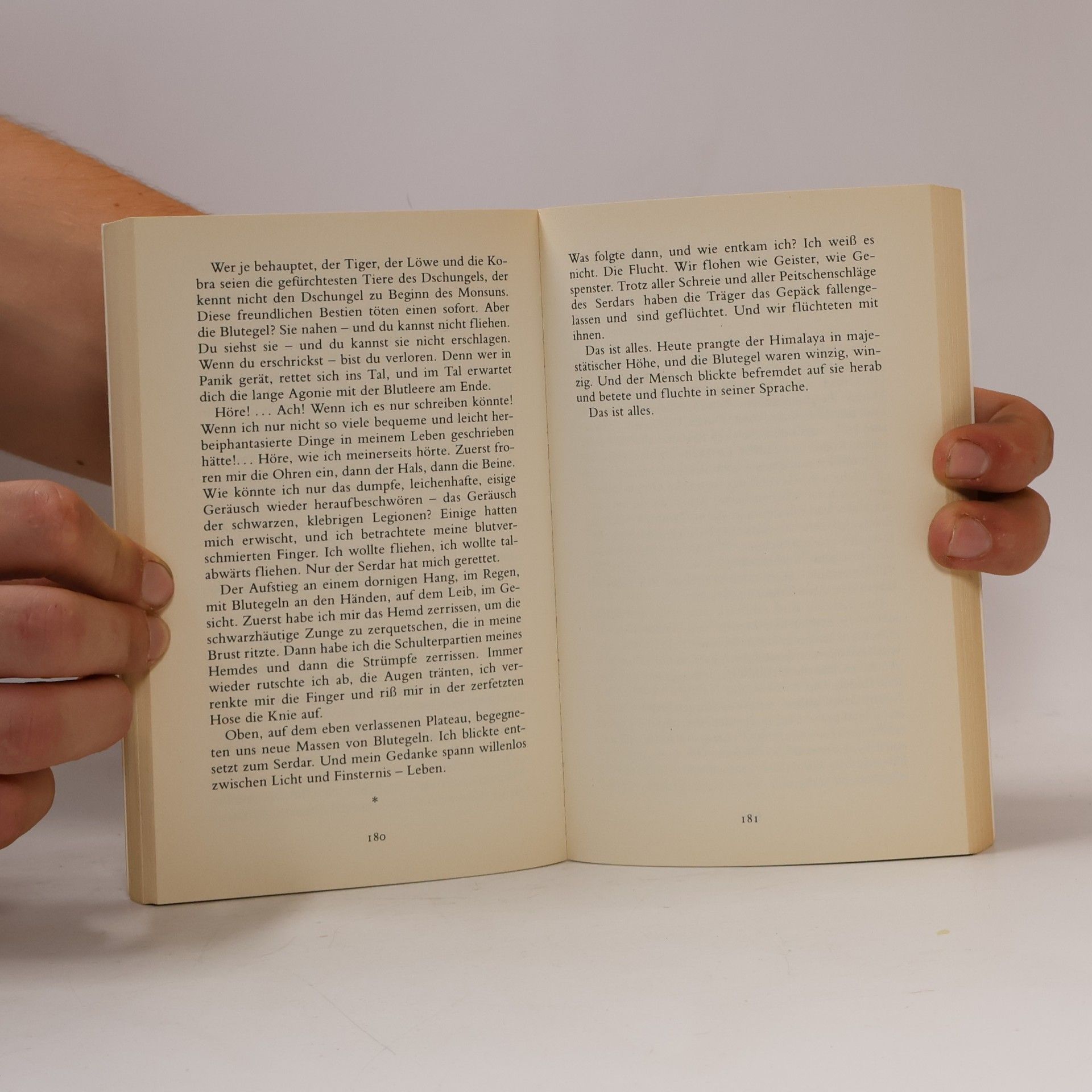Mircea Eliade Indisches Tagebuch