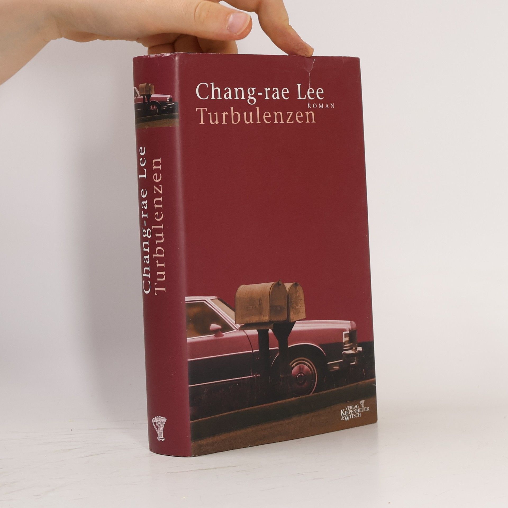 Chang-Rae Lee Turbulenzen