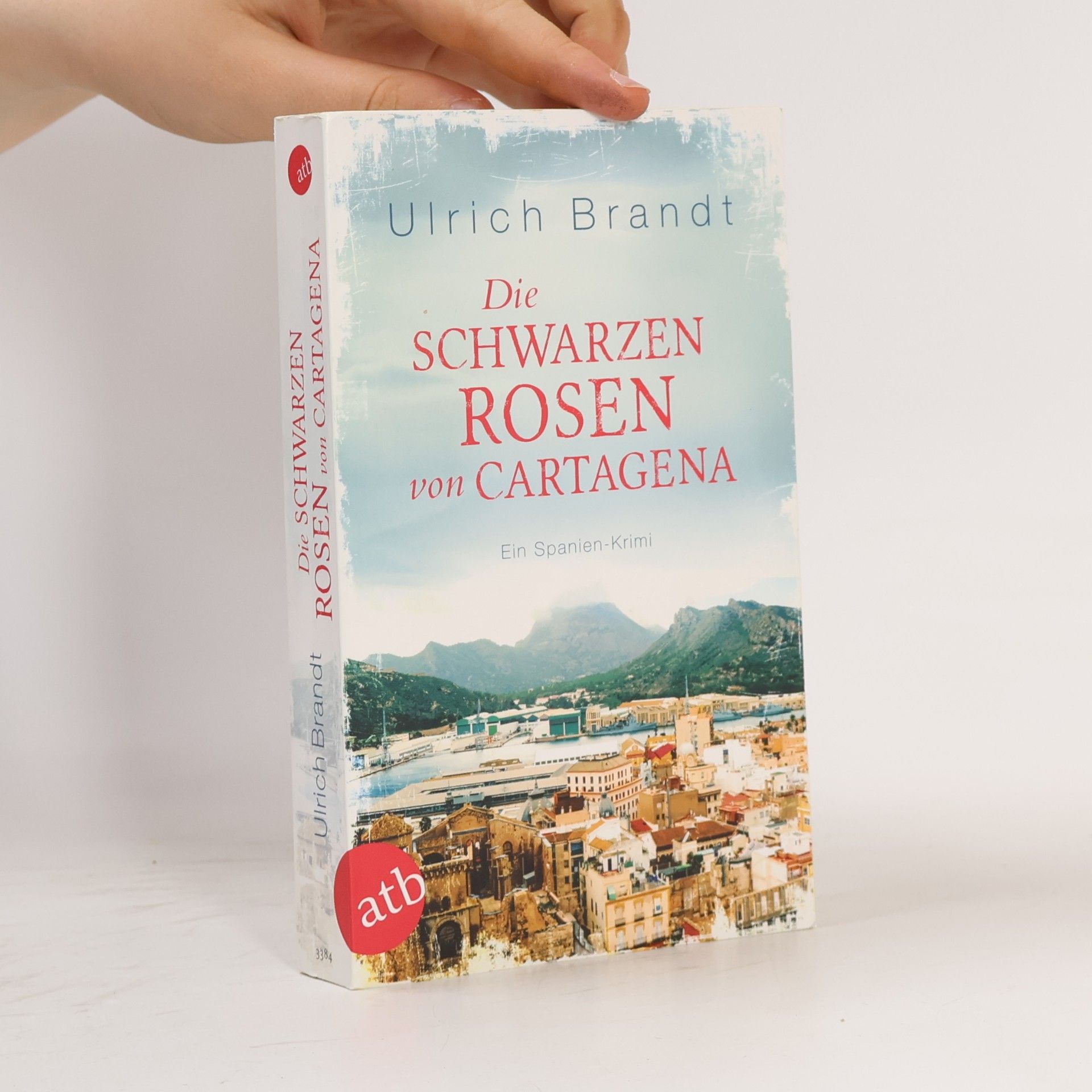 Ulrich Brandt Die schwarzen Rosen von Cartagena
