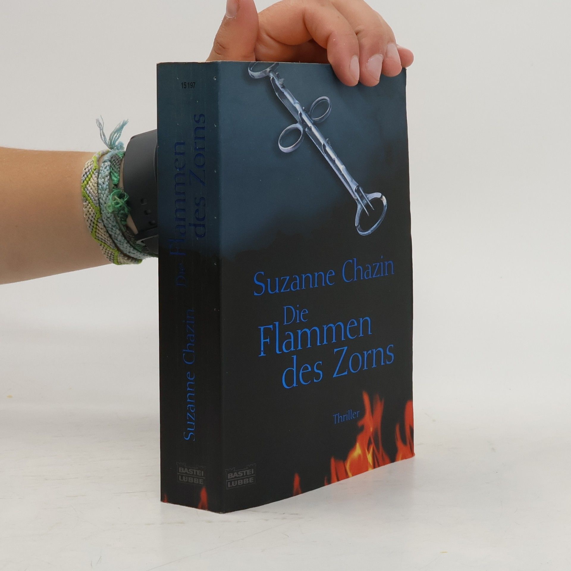 Suzanne Chazin Die Flammen des Zorns