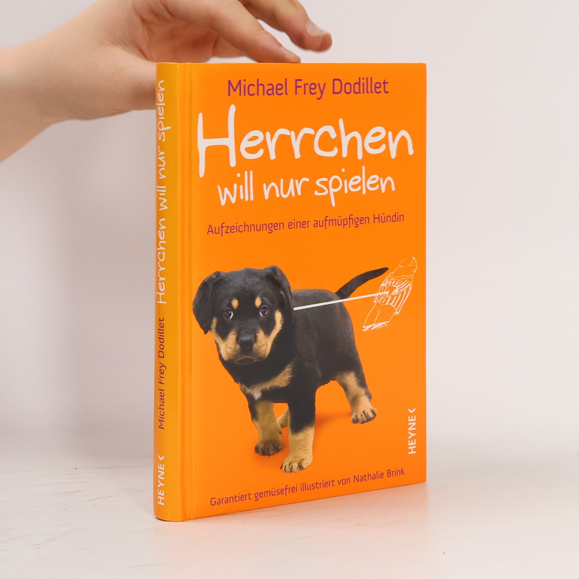 Michael Frey Dodillet Herrchen will nur spielen