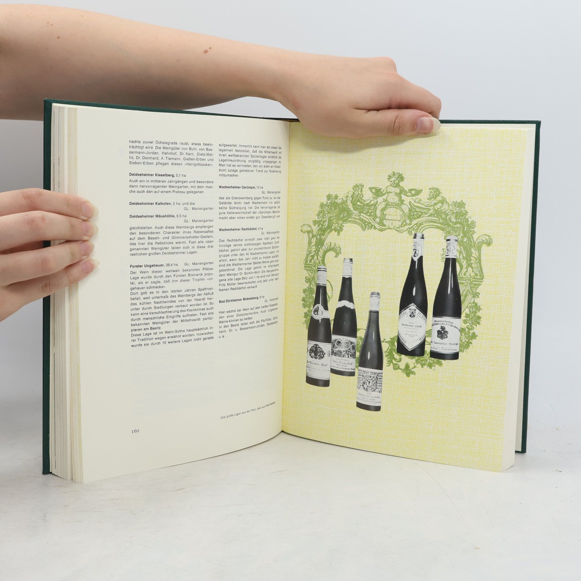 Ernst Hornickel Schatzkammer der weinfreunde. Die Spitzenweine Europas