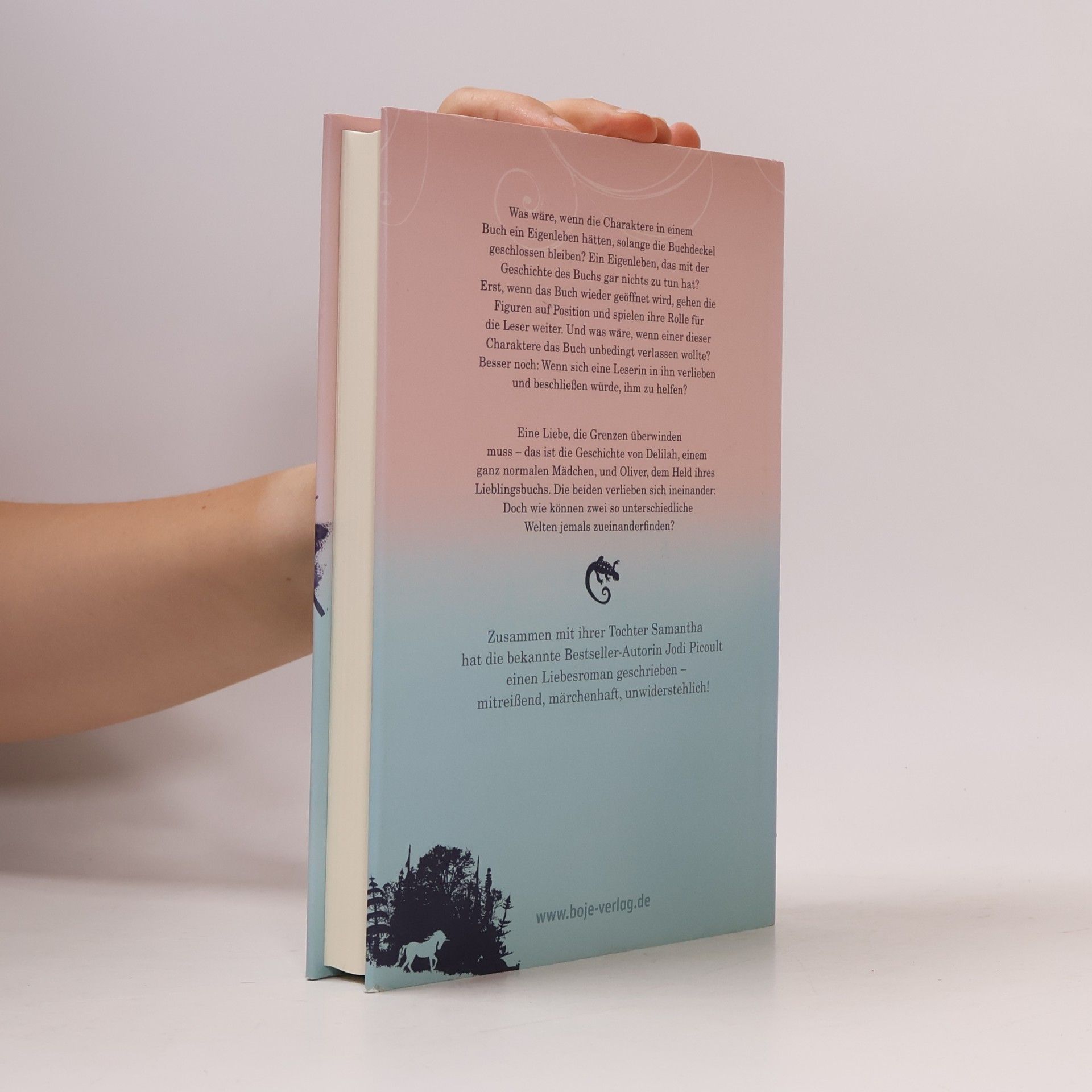 Jodi Picoult Mein Herz zwischen den Zeilen