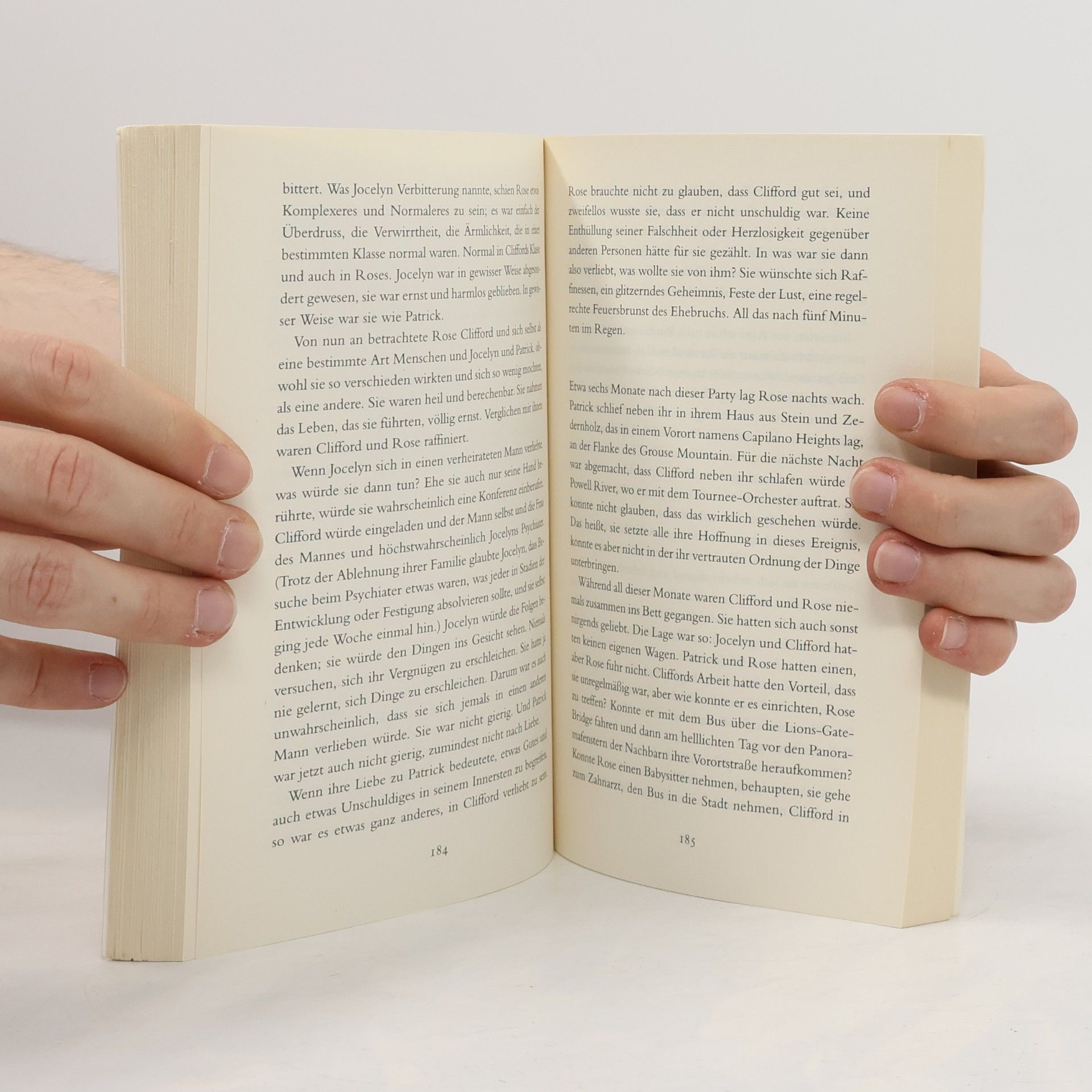 Alice Munro Das Bettlermädchen