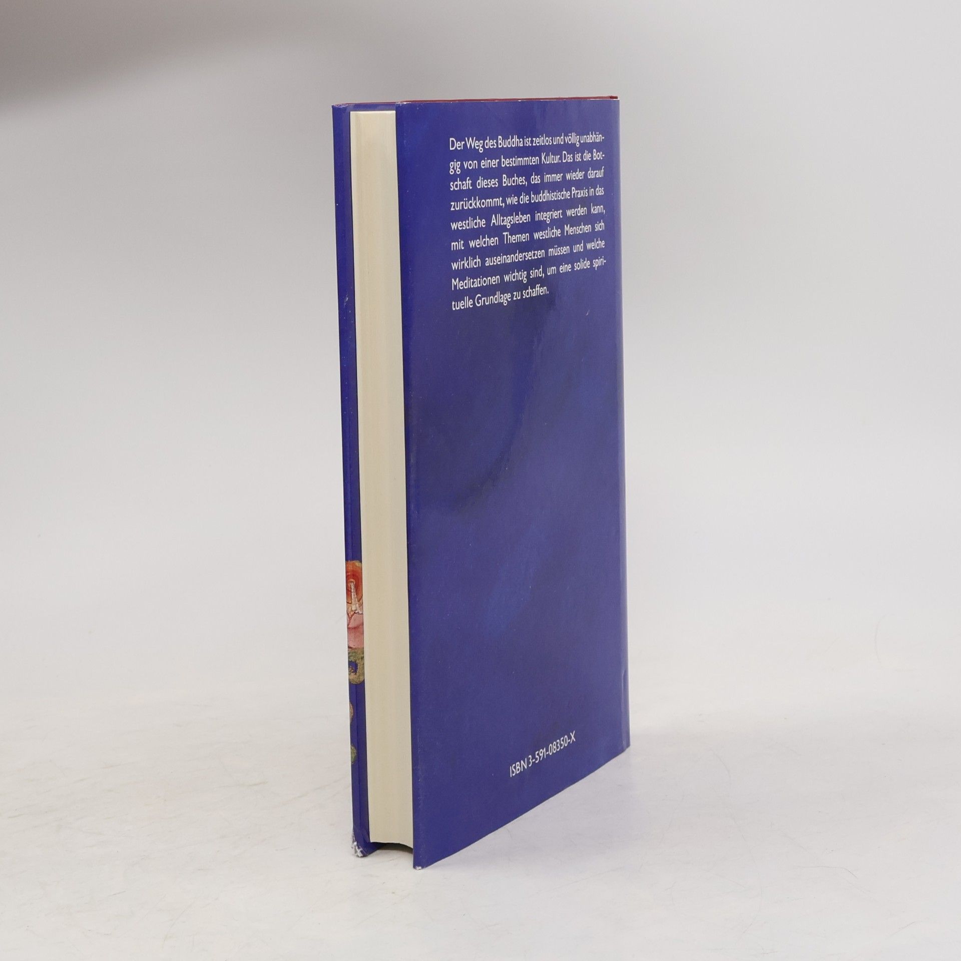 Alfred Woll Das Licht des wahren Lernens