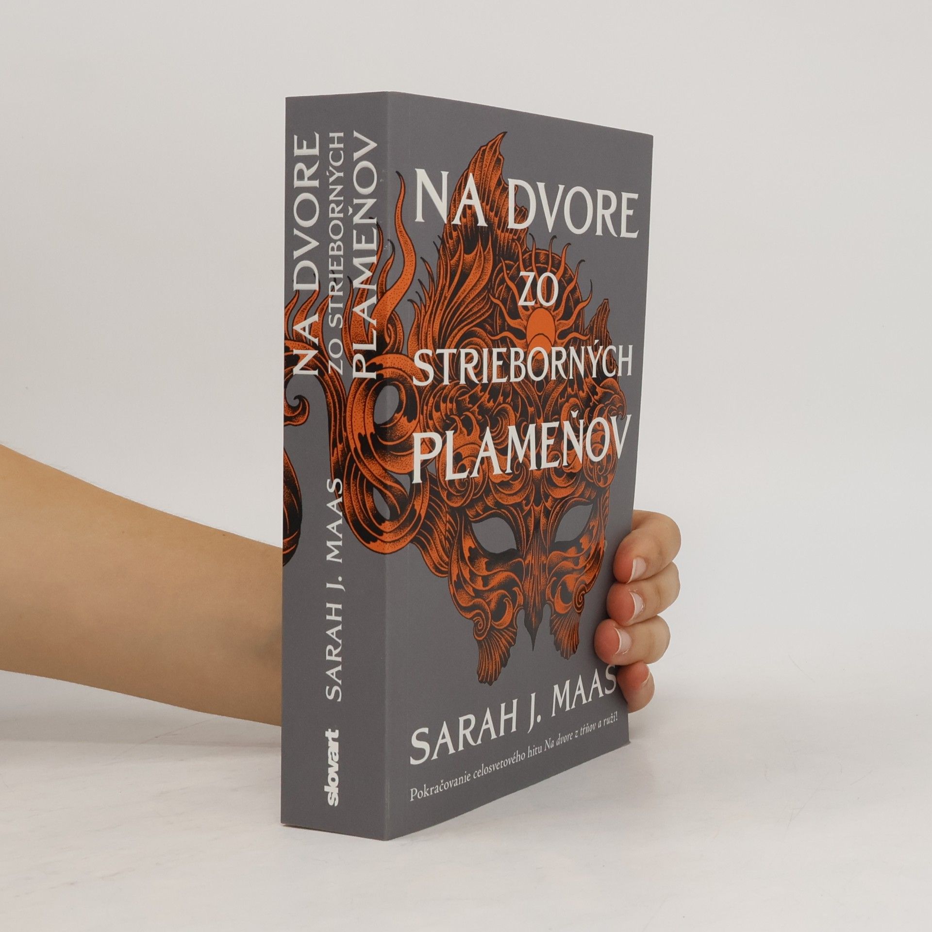Sarah J. Maasová Na dvore zo strieborných plameňov