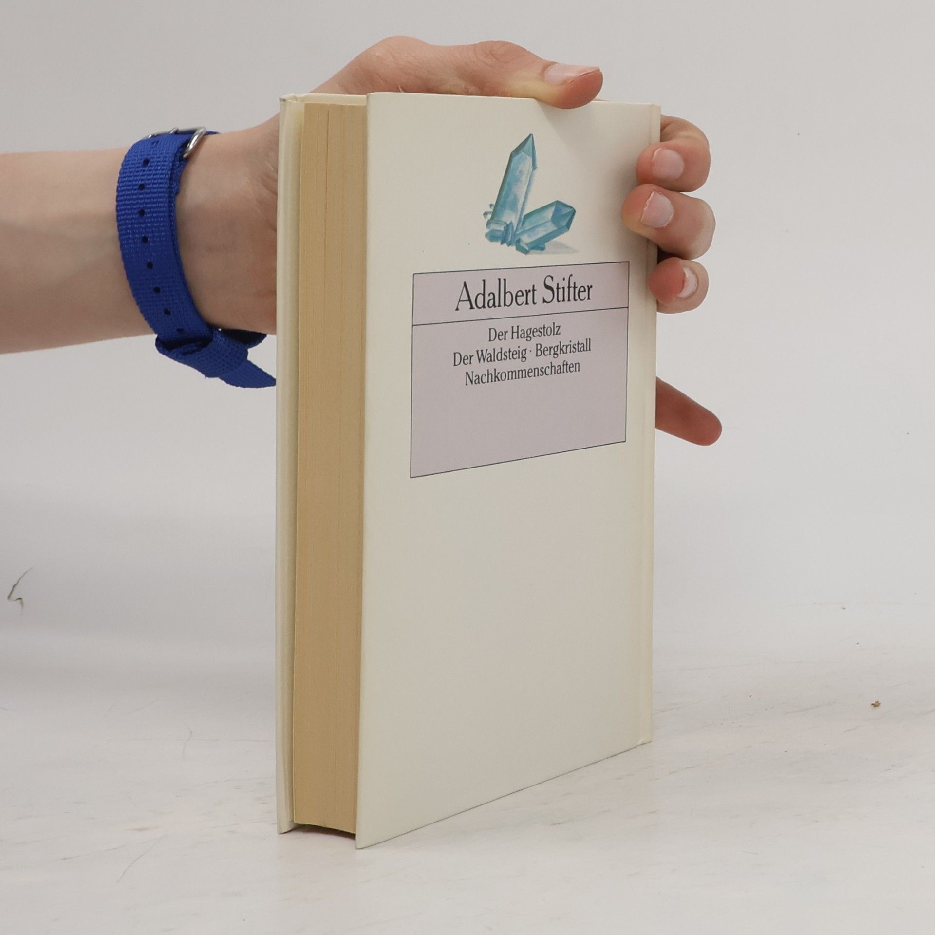 Adalbert Stifter Gesammelte Werke. Novellen II