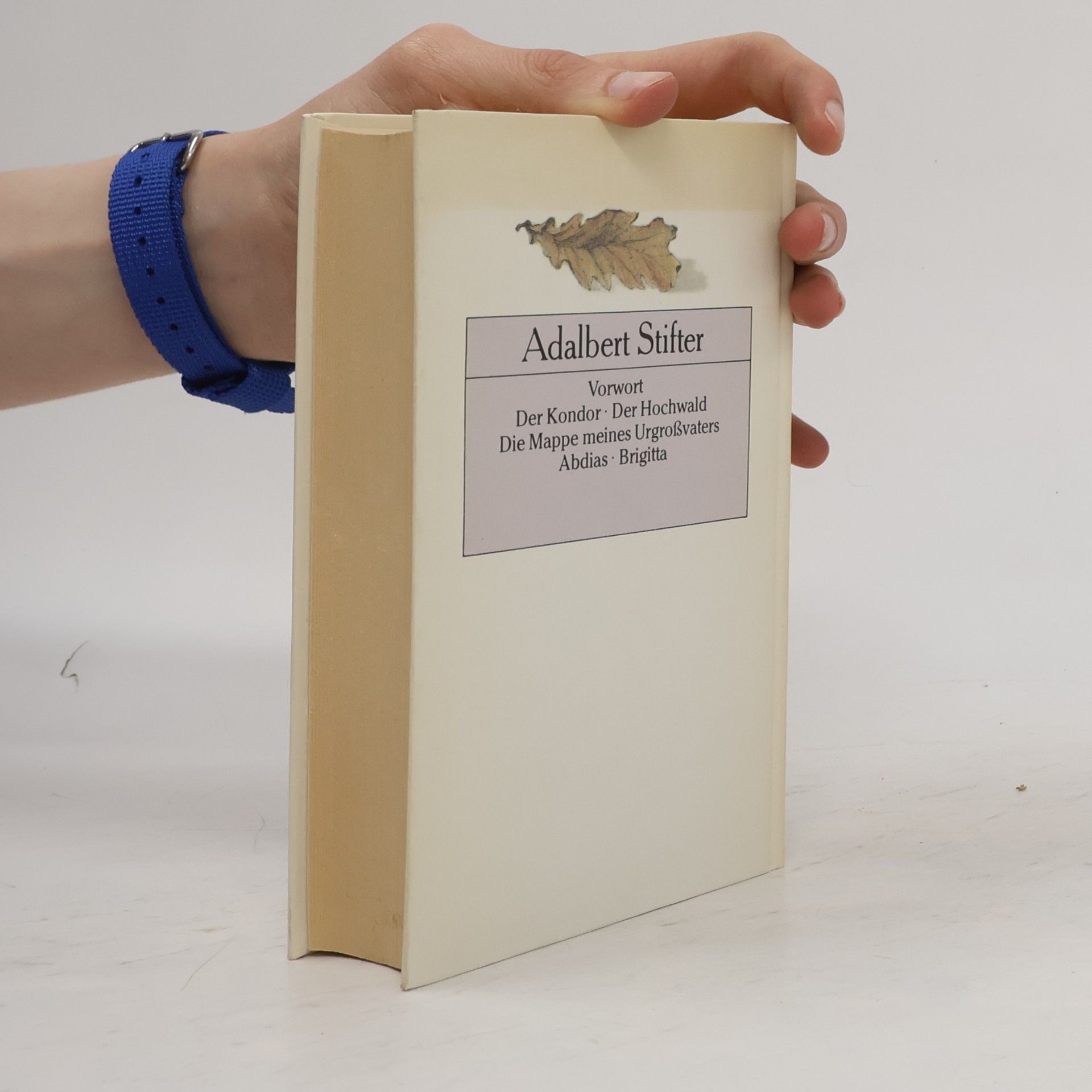 Adalbert Stifter Gesammelte Werke. Novellen I