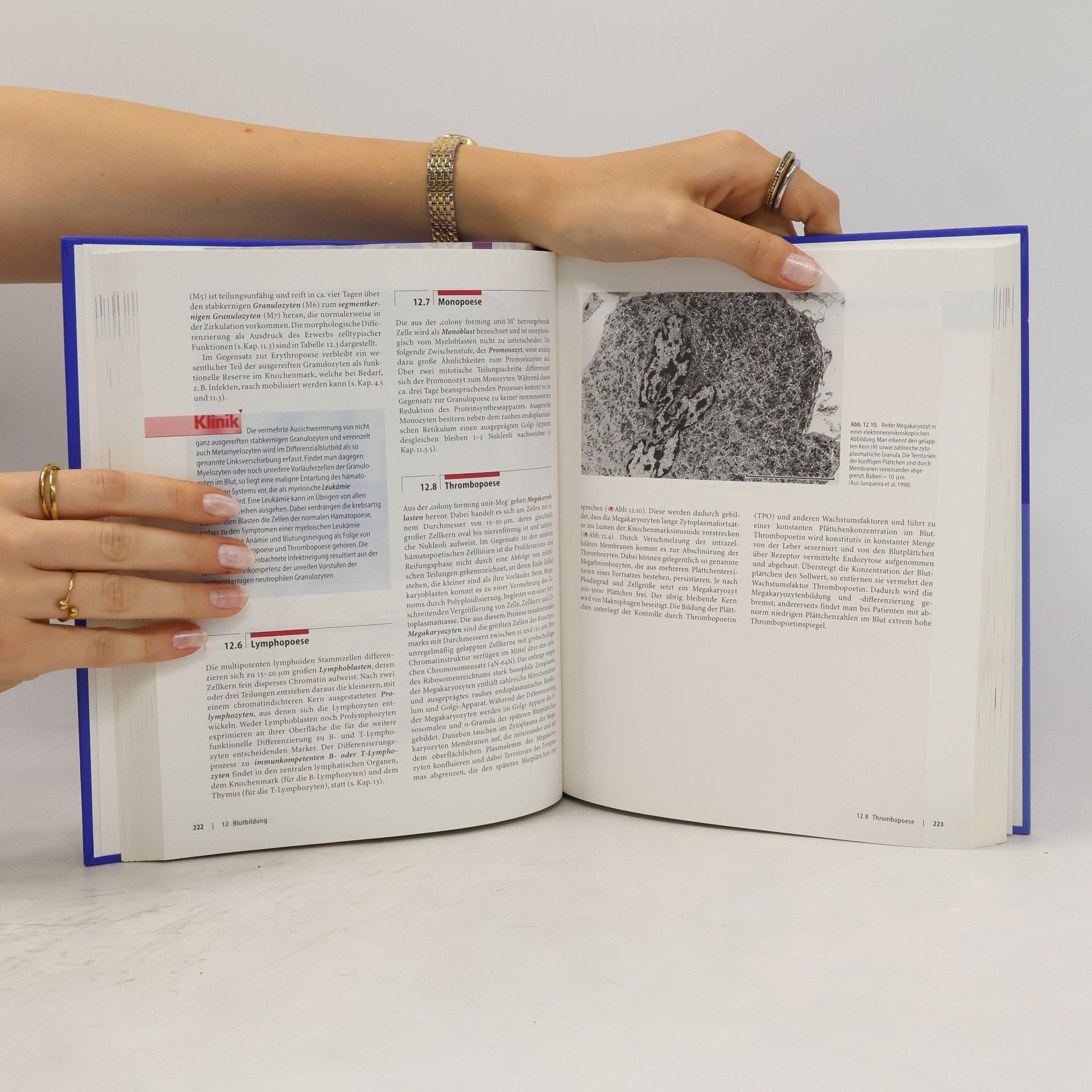 L. Carlos Jungueira Histologie