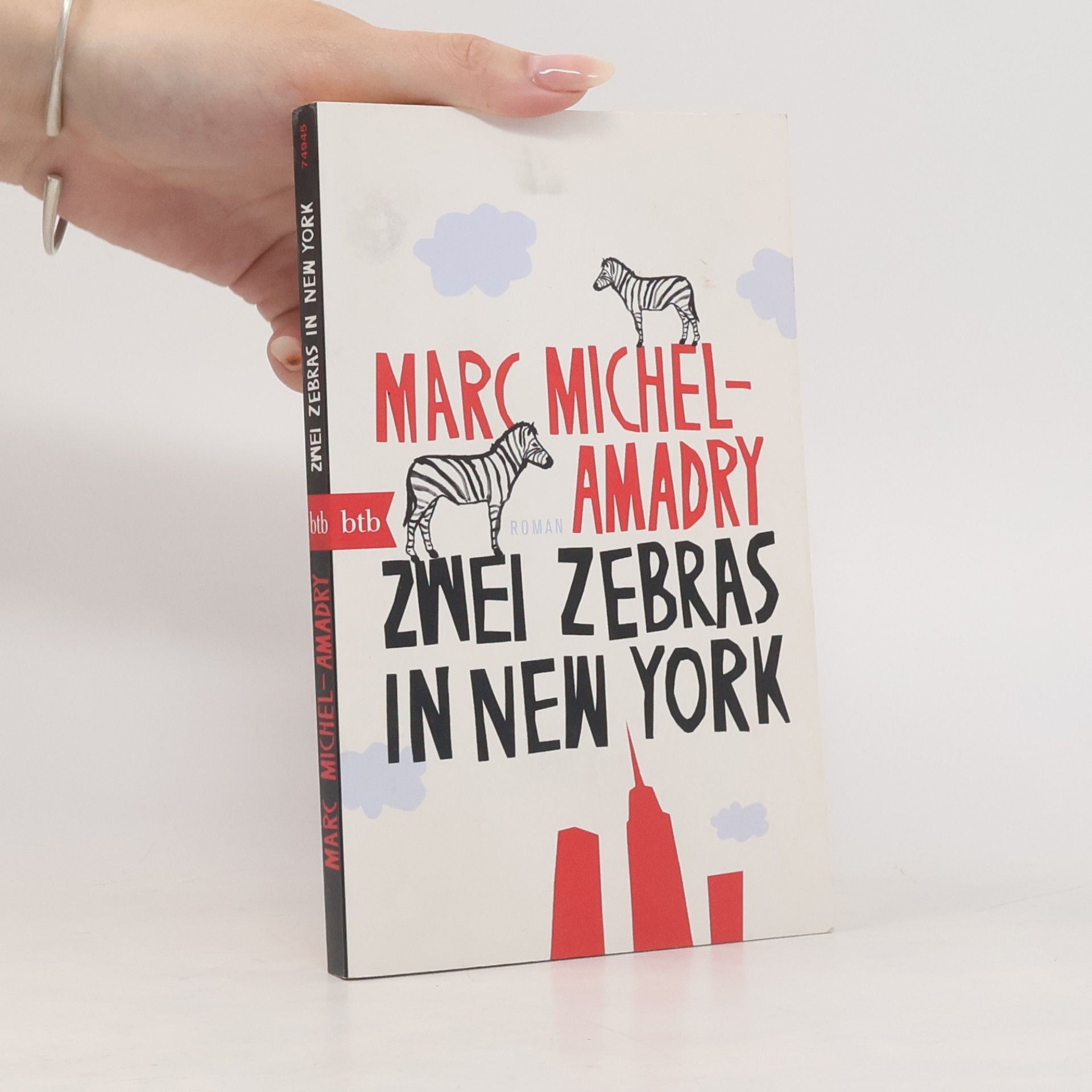 Marc Michel-Amadry Zwei Zebras in New York