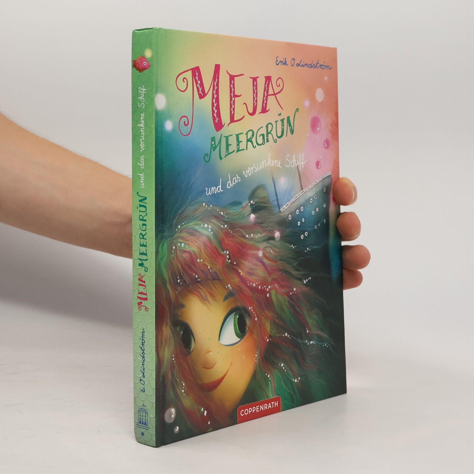 Meja Meergrün und das versunkene Schiff
