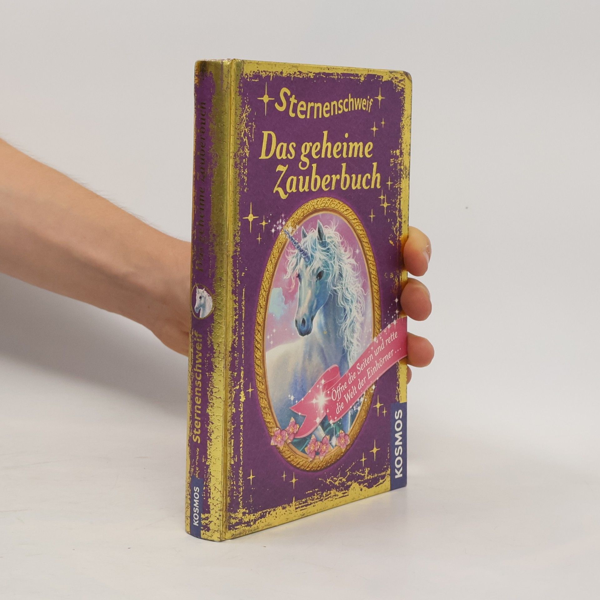 Carolin Ina Schröter Sternenschweif - das geheime Zauberbuch