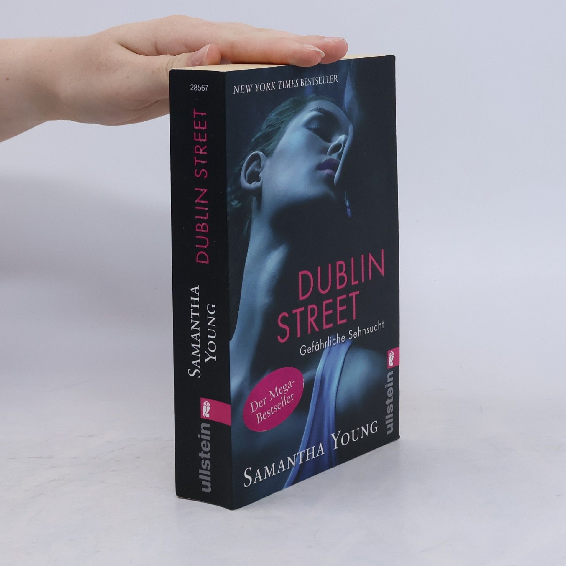 Samantha Young Dublin Street: Gefährliche Sehnsucht