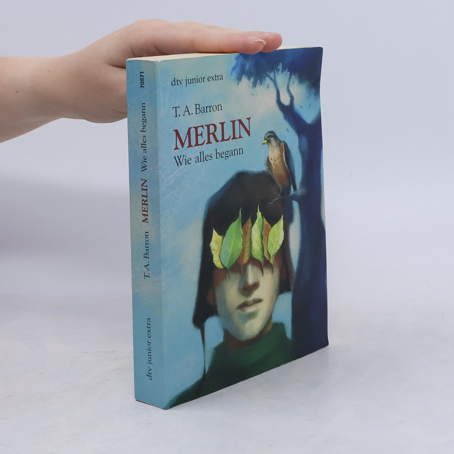 T. A. Barron Merlin. Wie alles begann