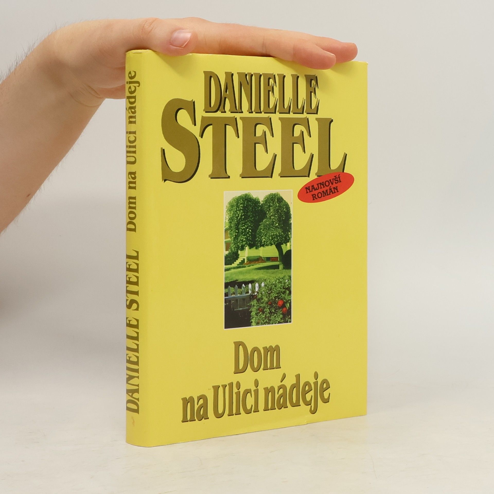 Danielle Steel Dom na Ulici nádeje