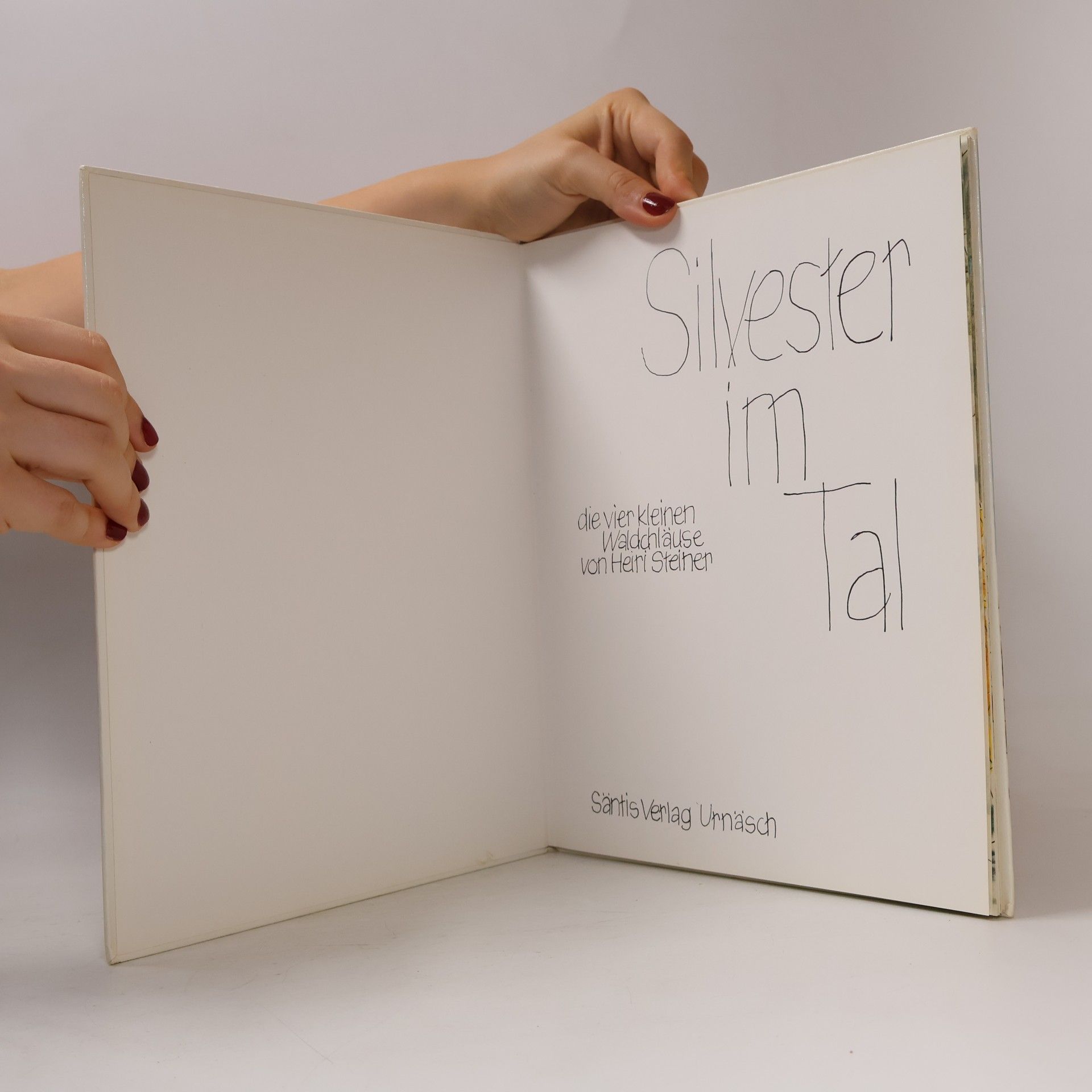 Heiri Steiner Silvester im Tal