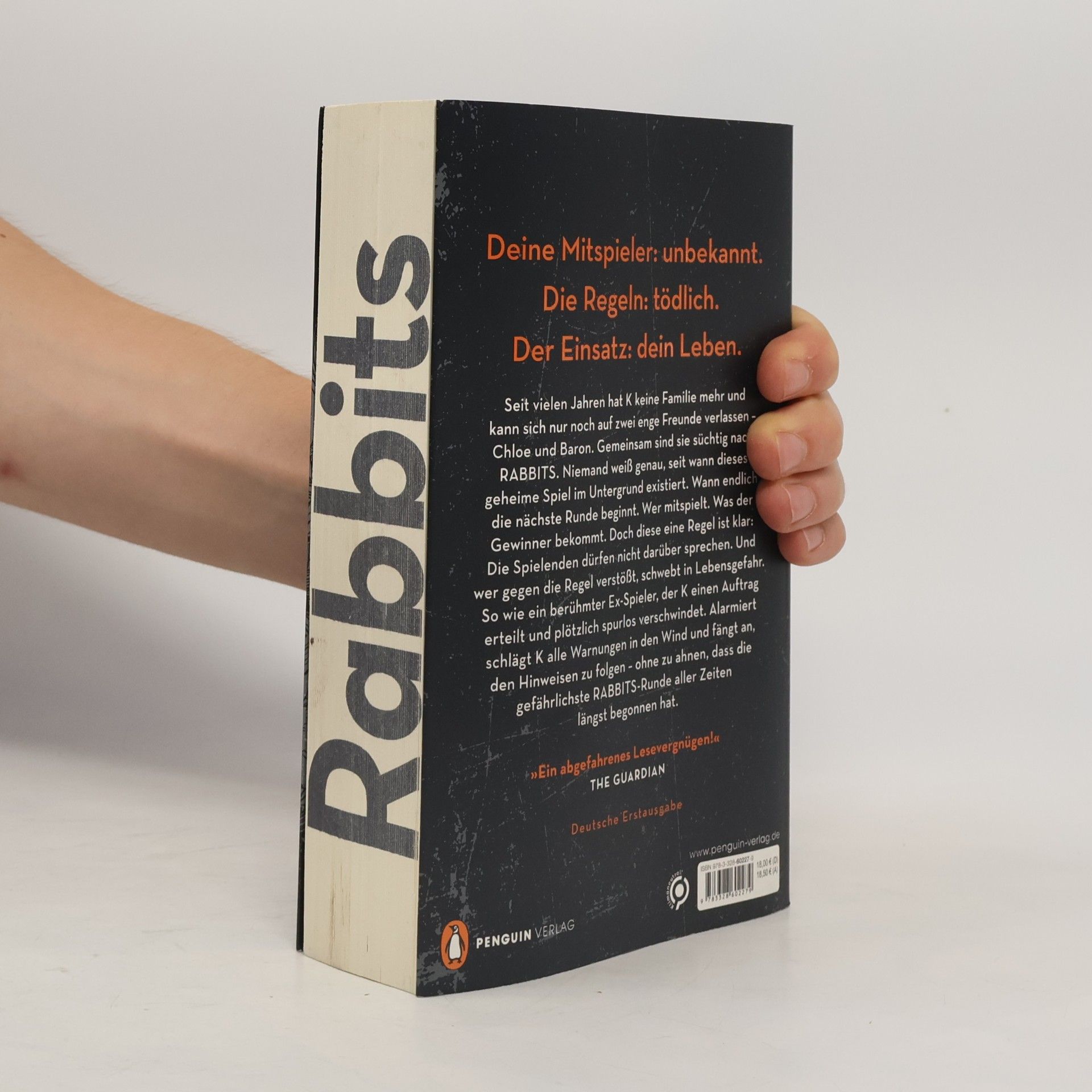 Terry Miles Rabbits - Spiel um dein Leben