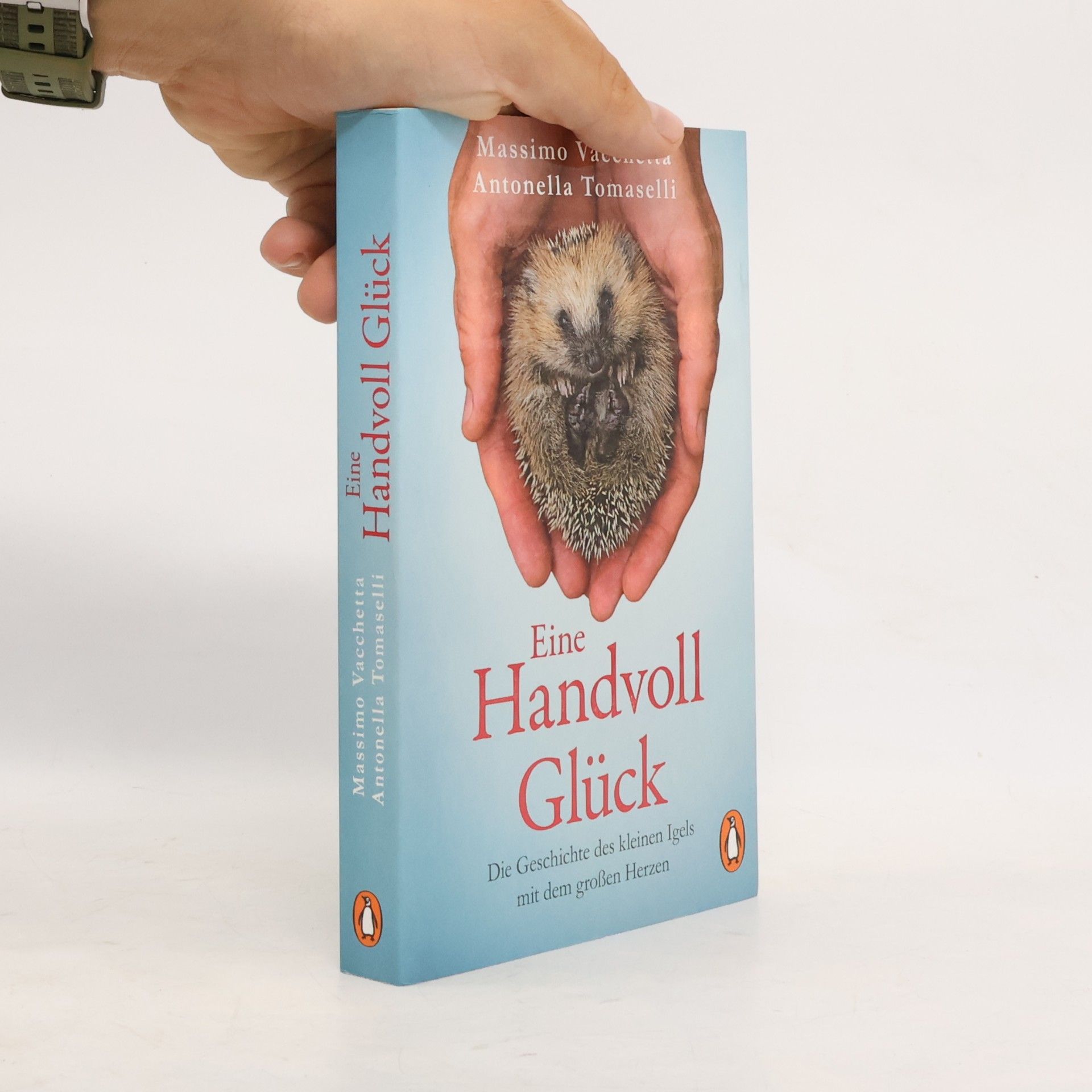 Massimo Vacchetta Eine Handvoll Glück