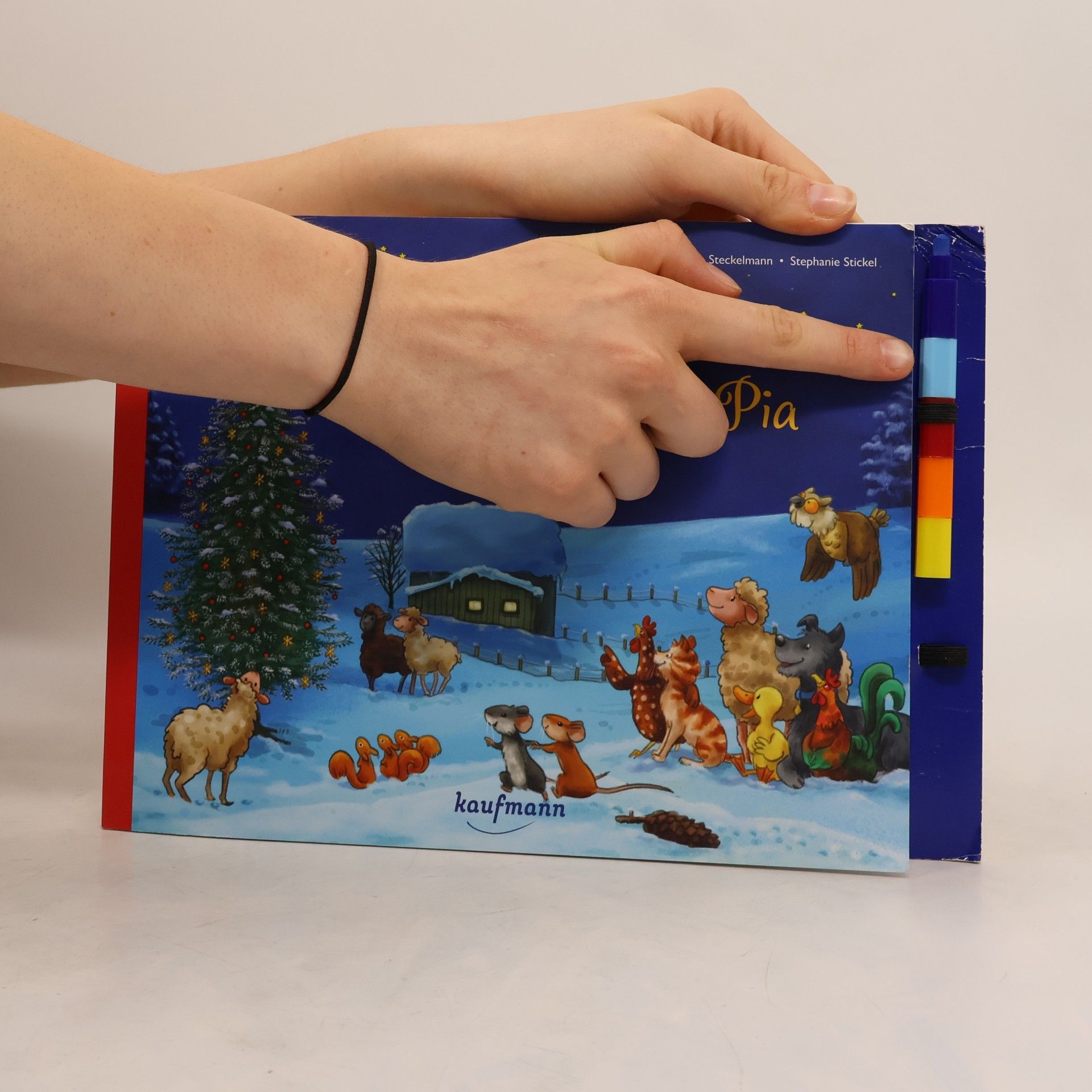 Piera Stöckelmann Ein Weihnachtsfest für Mia und Pia. Ein Ausmal-Adventskalender