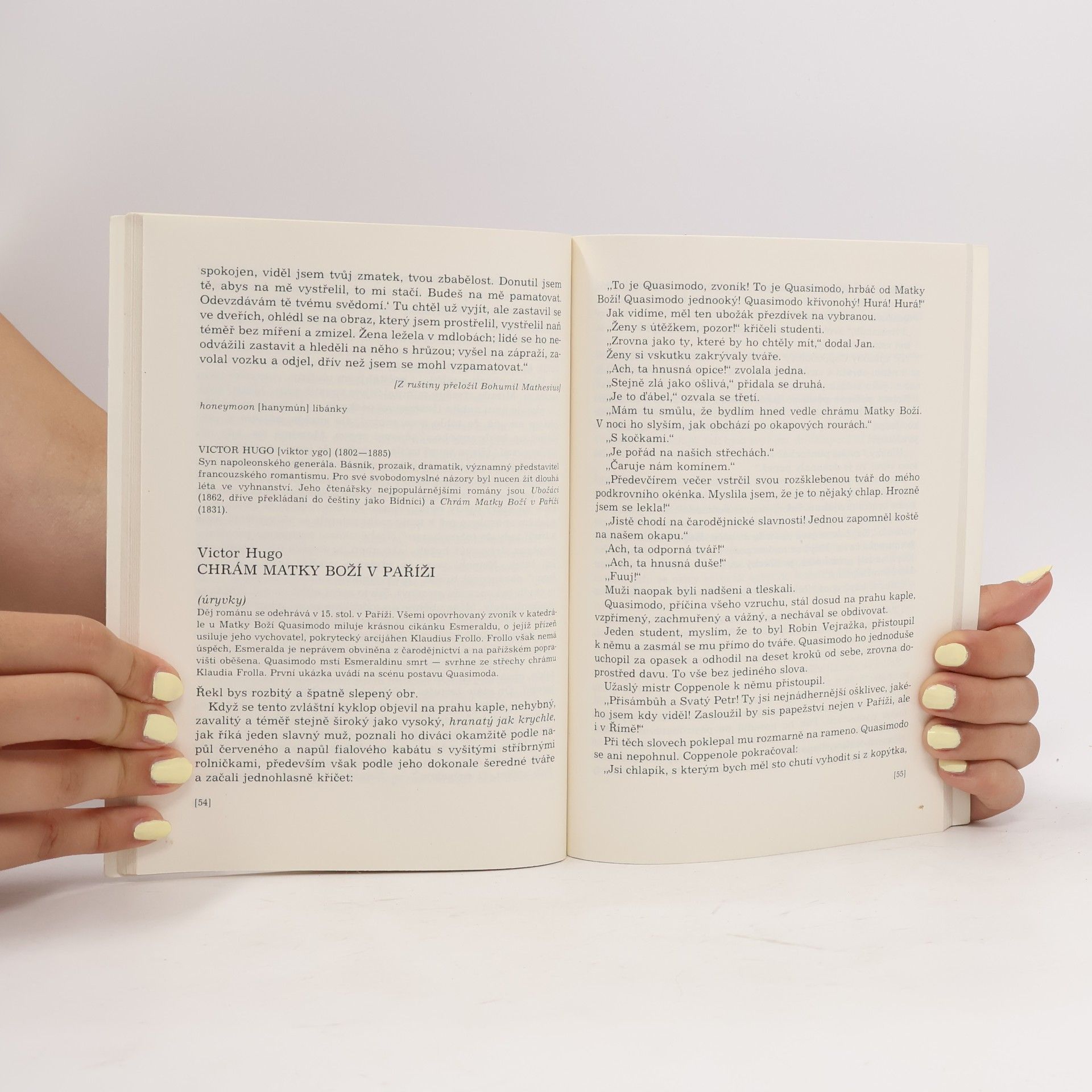 Autorenkollektiv Úvod do světa literatury 3