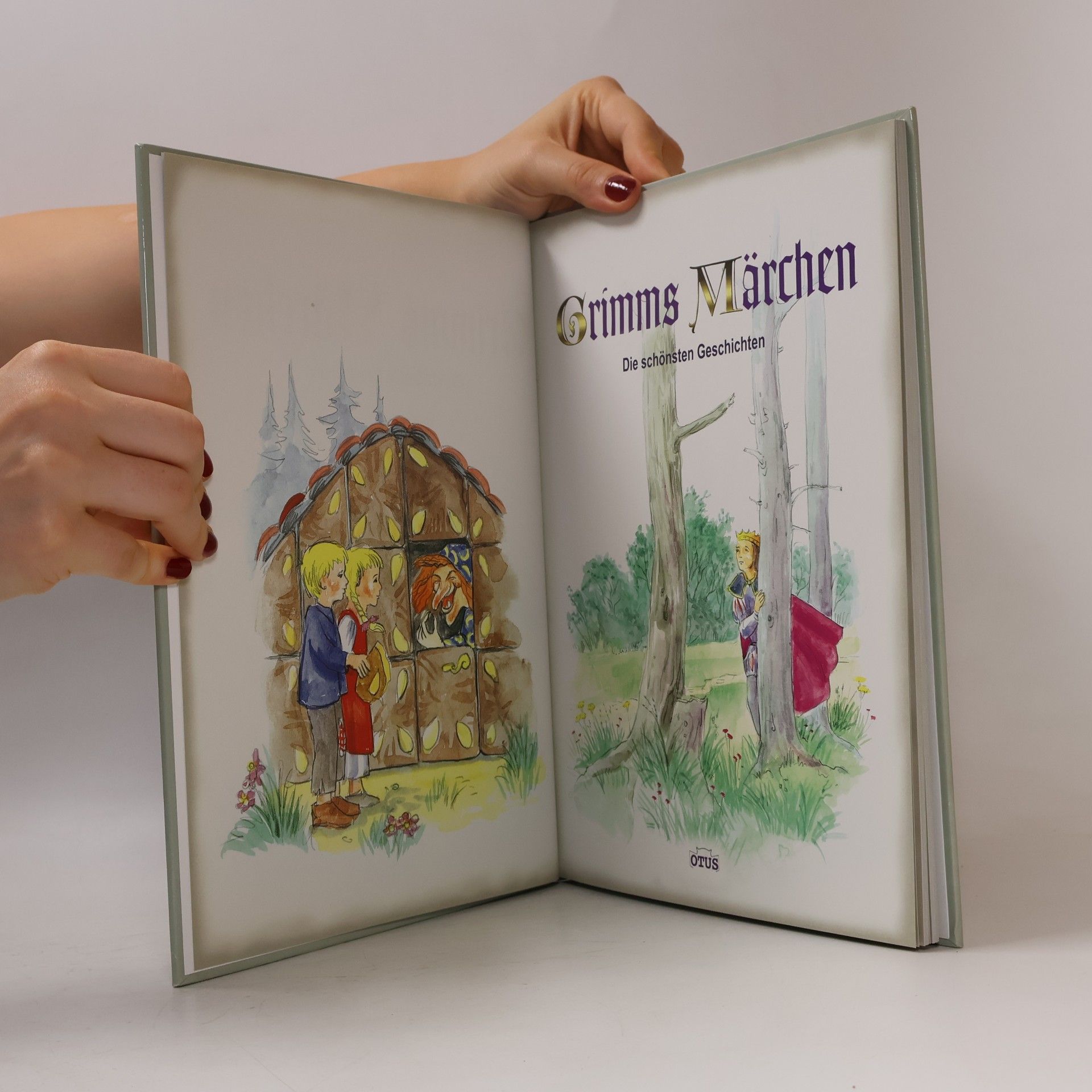 bratři Grimmové Grimms Märchen. Die schönsten Geschichten