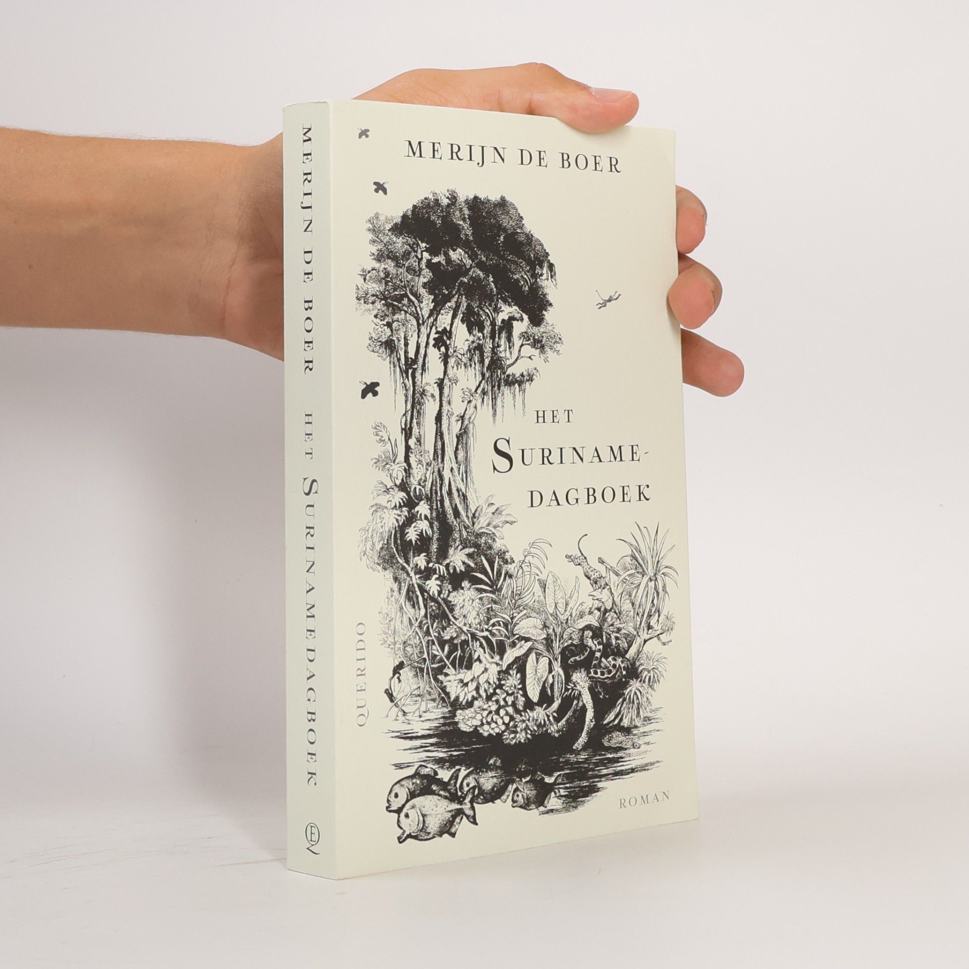 Merijn de Boer Het Surinamedagboek