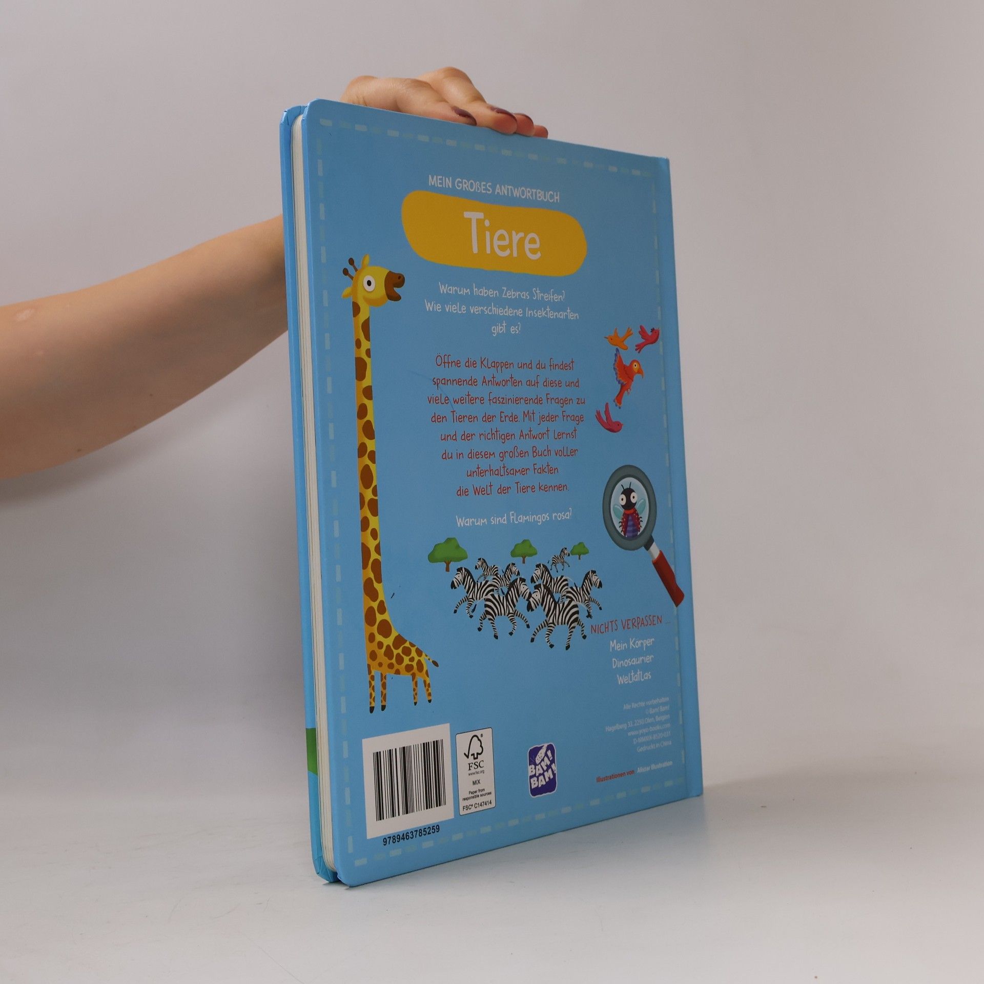 Autores varios Mein großes Antwortbuch: Tiere