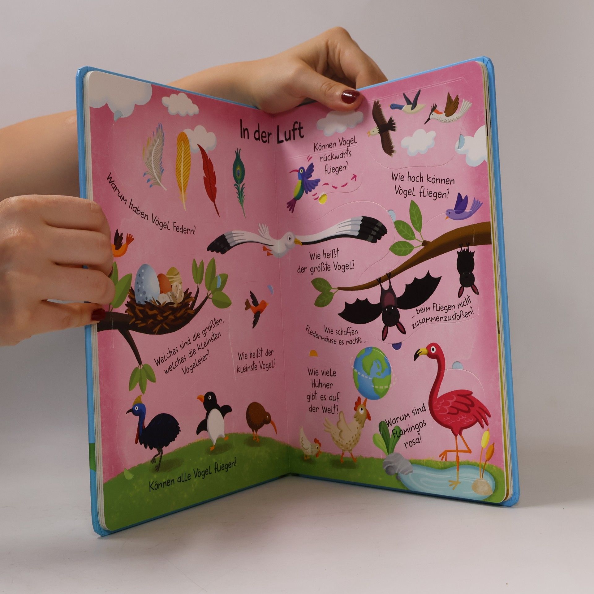 Autores varios Mein großes Antwortbuch: Tiere