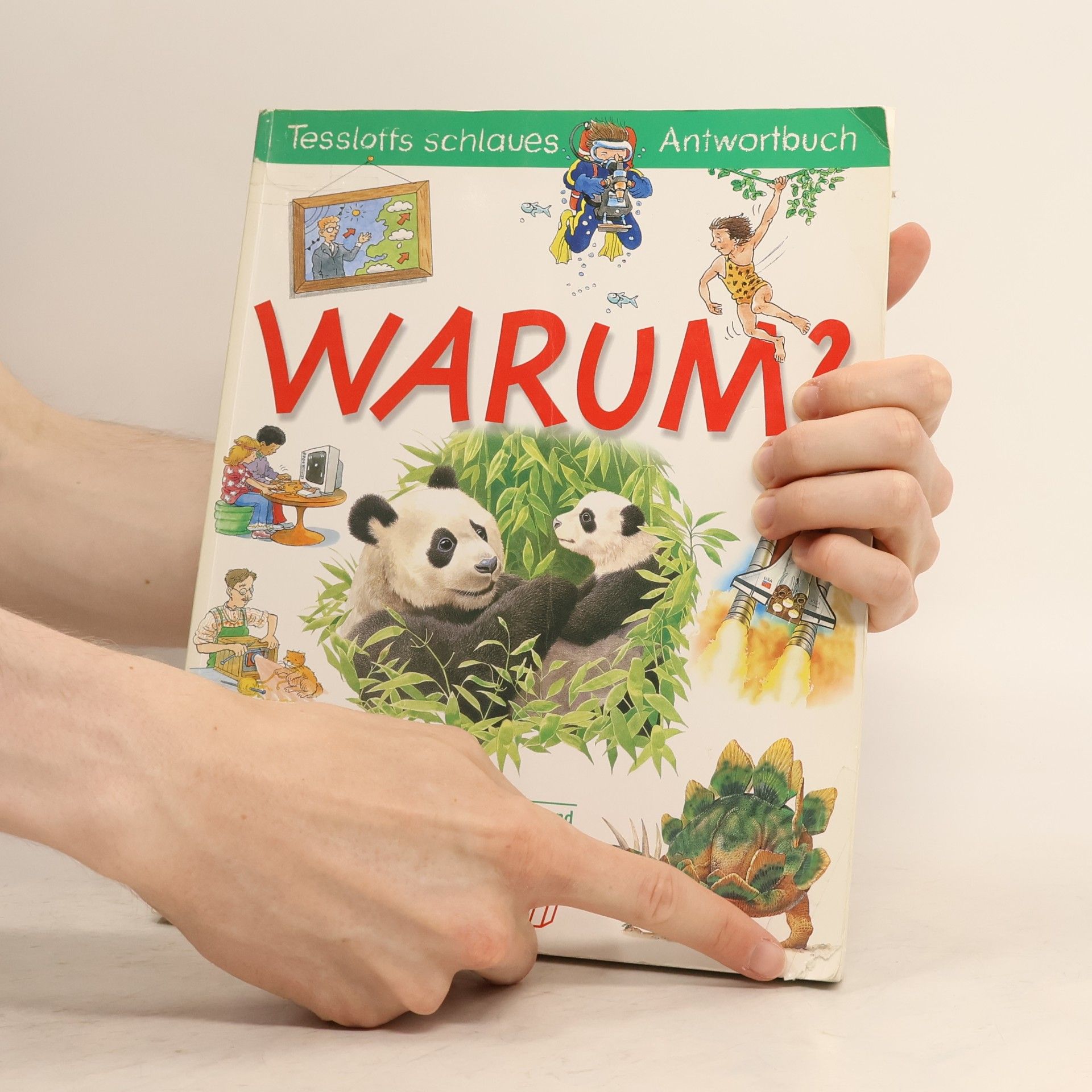 Regina Schneider Wieso? Warum? Weshalb?