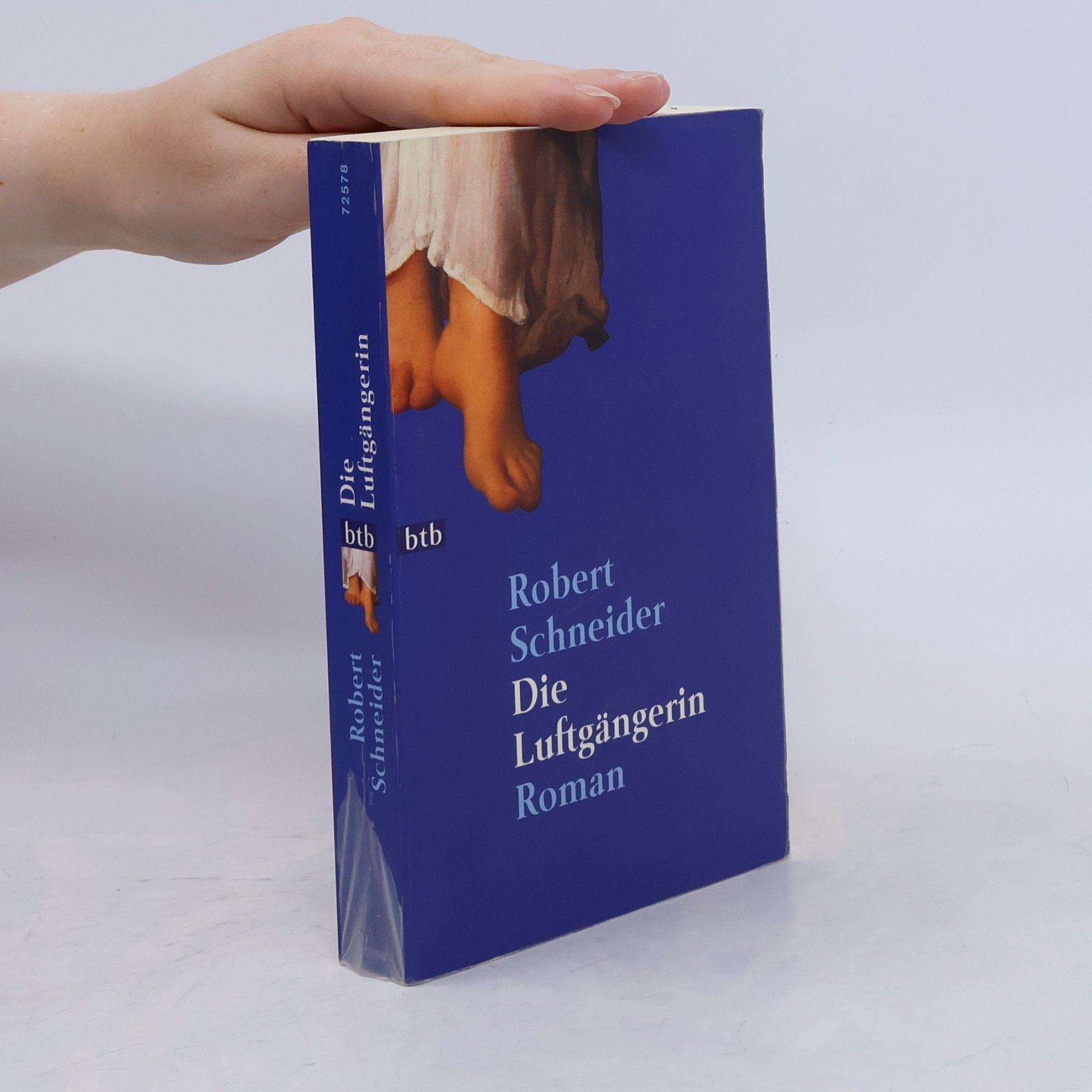 Robert Schneider Die Luftgängerin