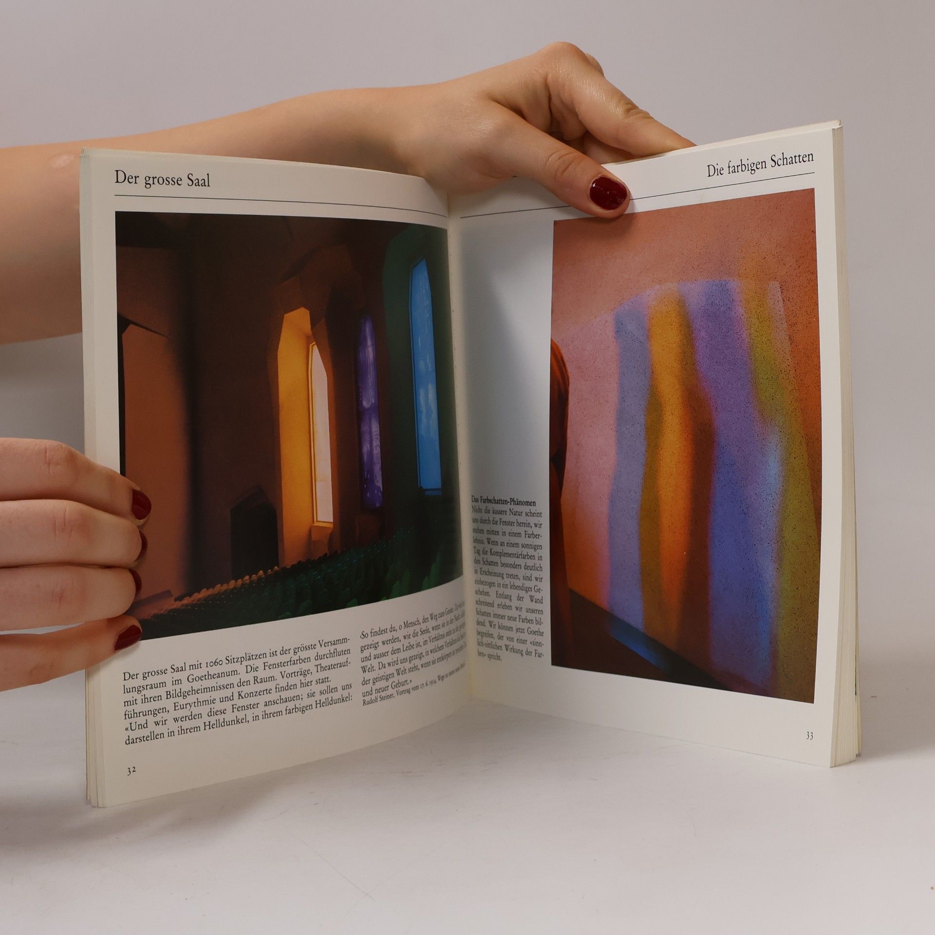 Hans Ruedi Clerc Das Goetheanum und seine Umgebung