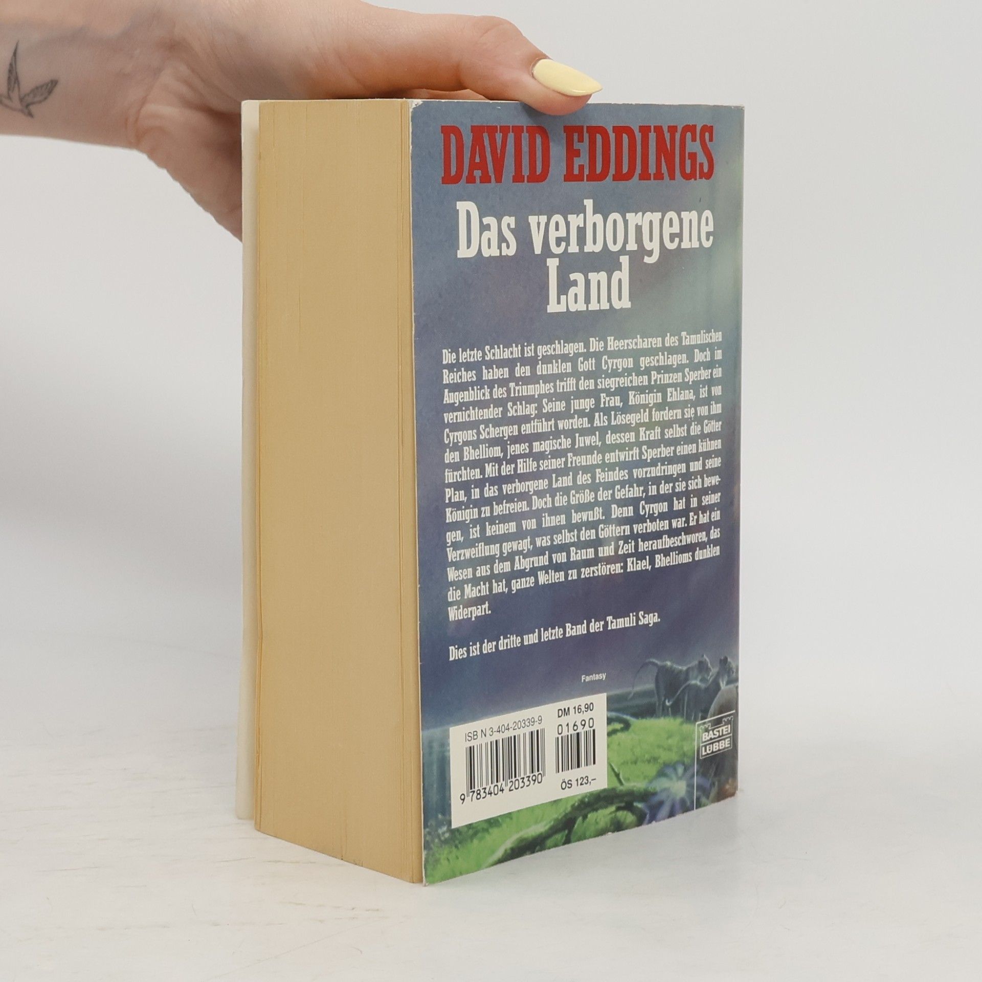 David Eddings Das verborgene Land