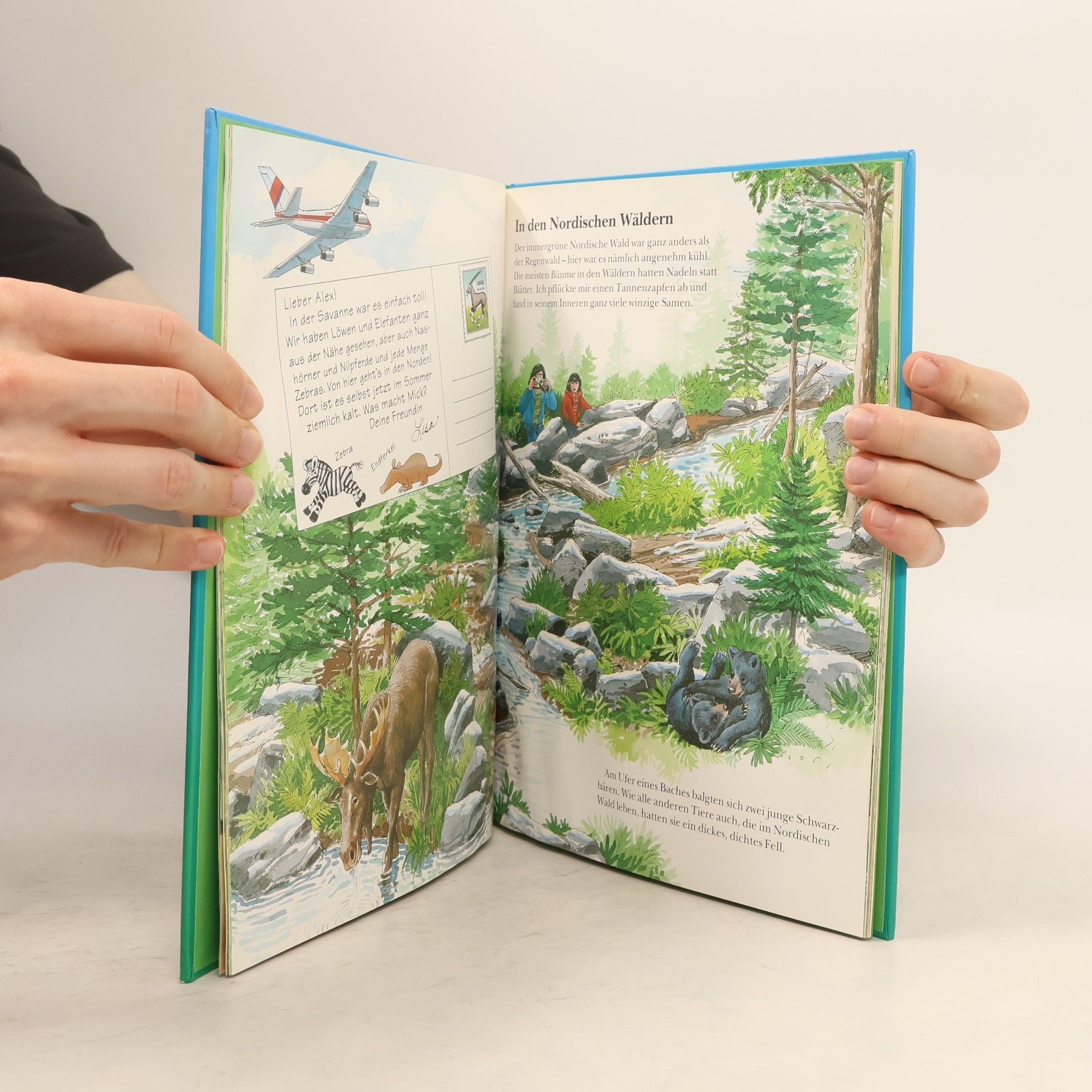 Marianne Tölle Die Bilderbuch-Welt der wilden Tiere