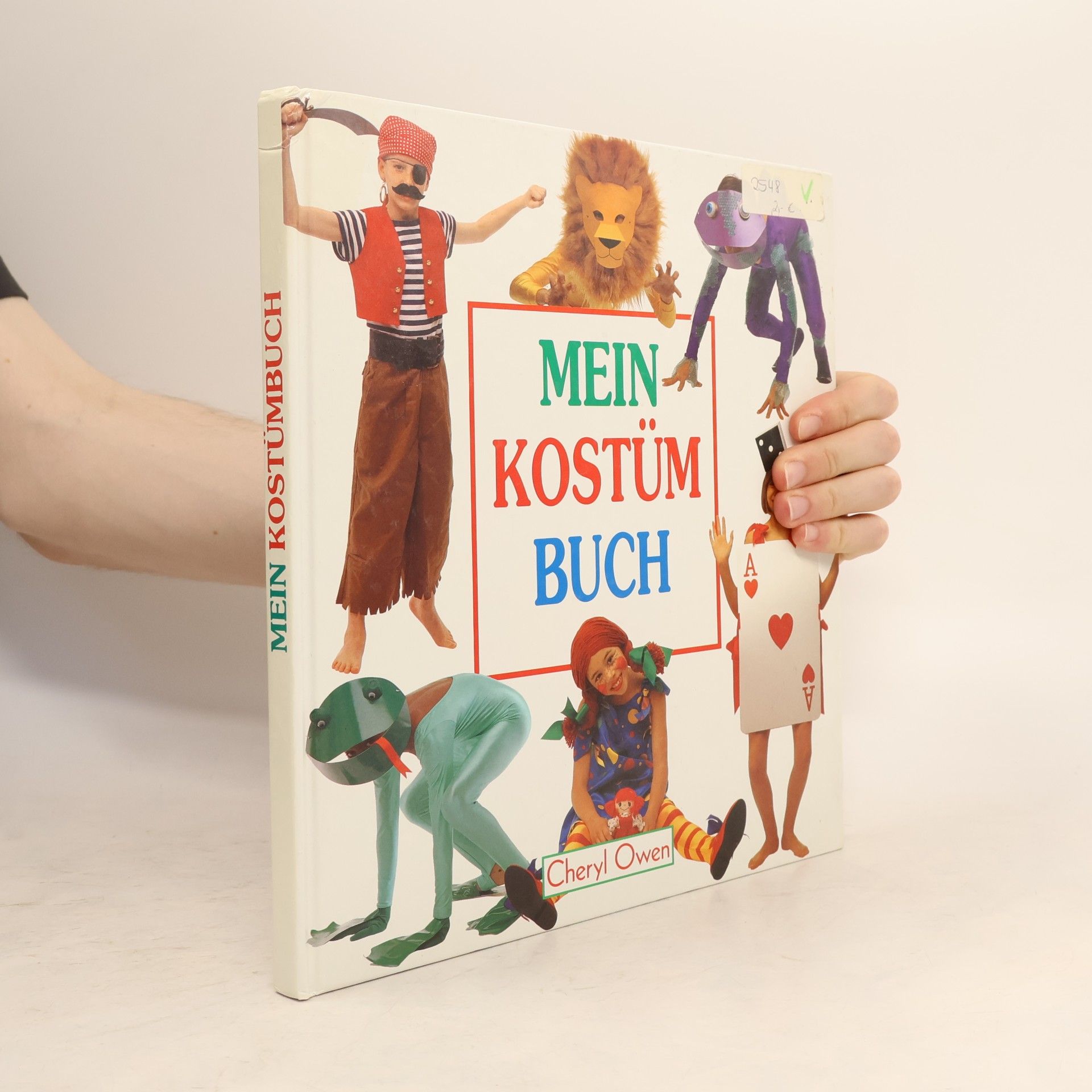 Cheryl Owen Mein Kostümbuch