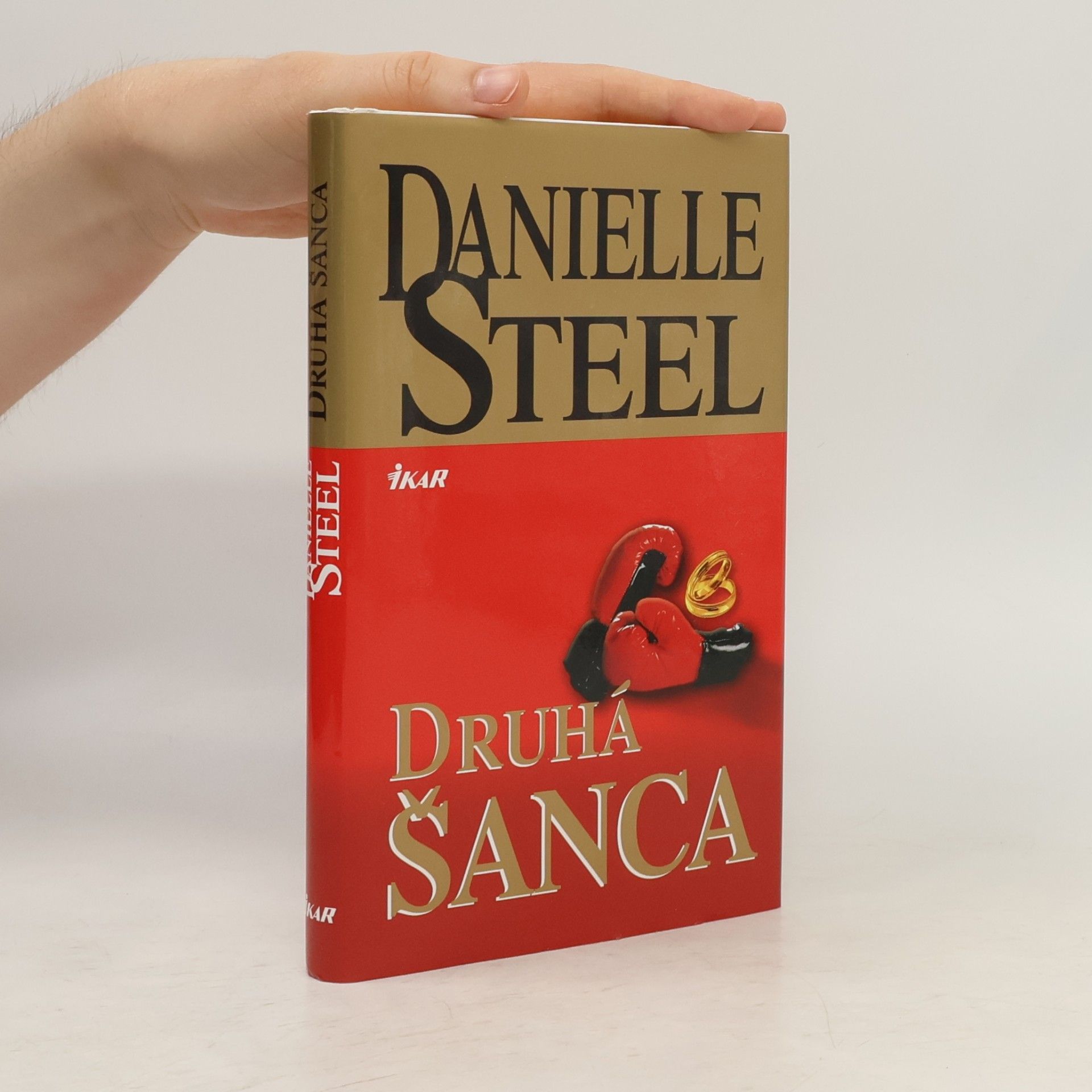 Danielle Steel Druhá šanca