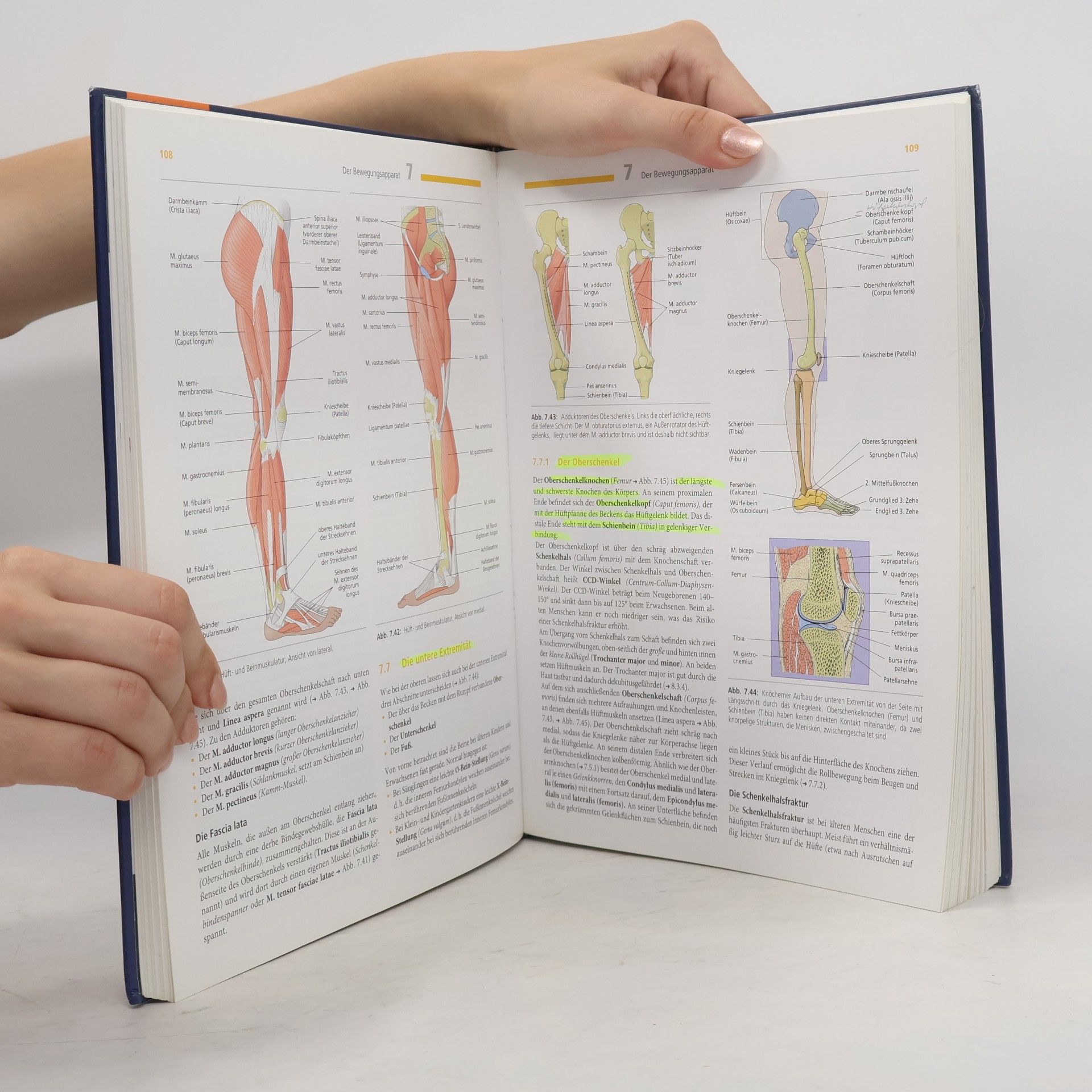 Nicole Menche Biologie, Anatomie, Physiologie