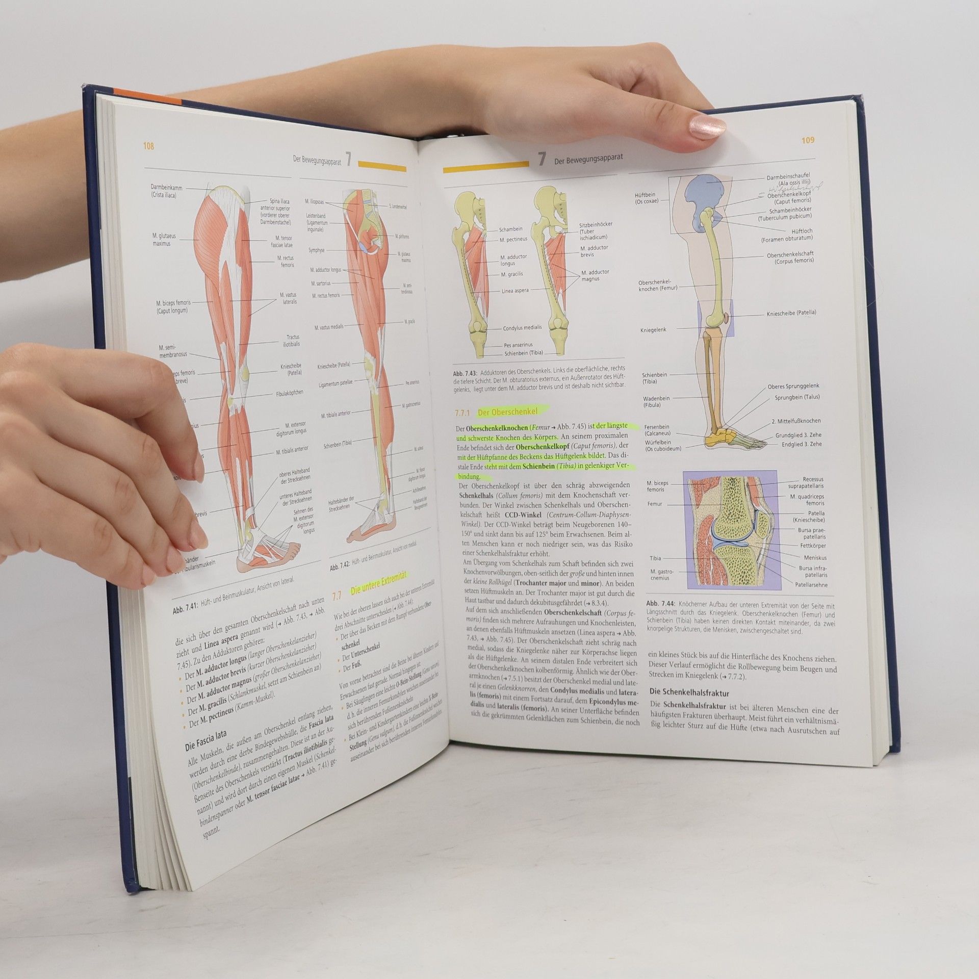Nicole Menche Biologie, Anatomie, Physiologie