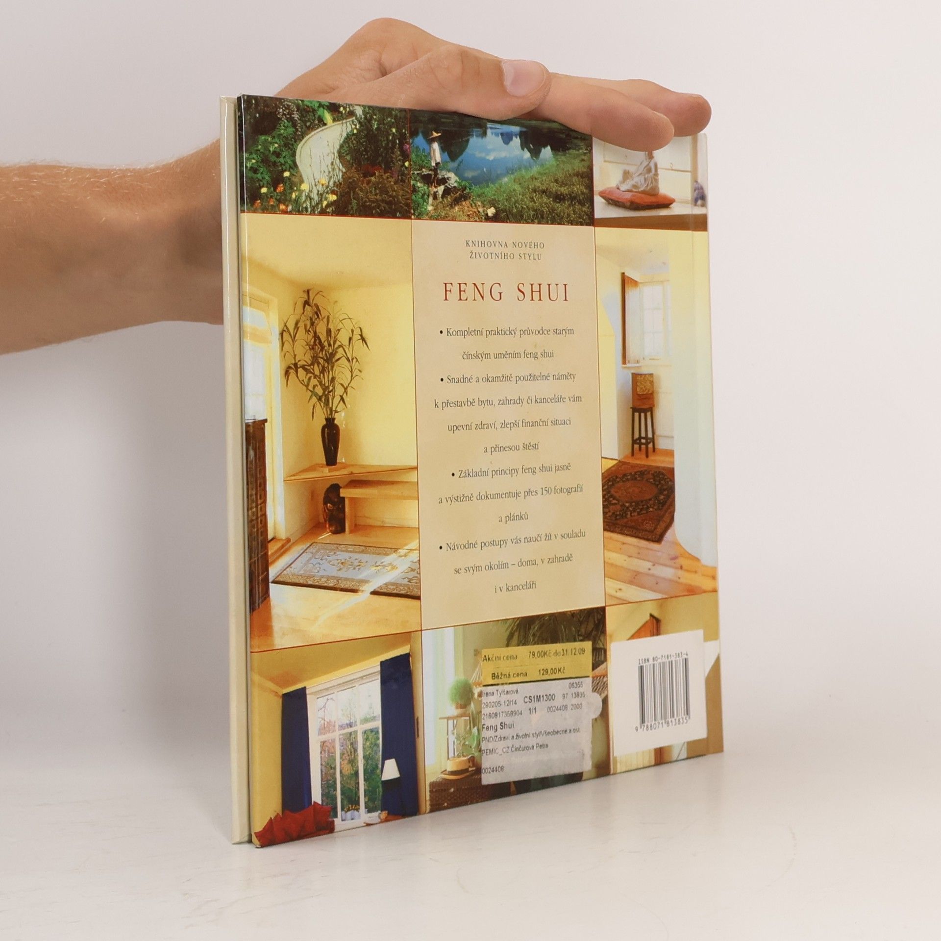 Richard Templar Feng shui