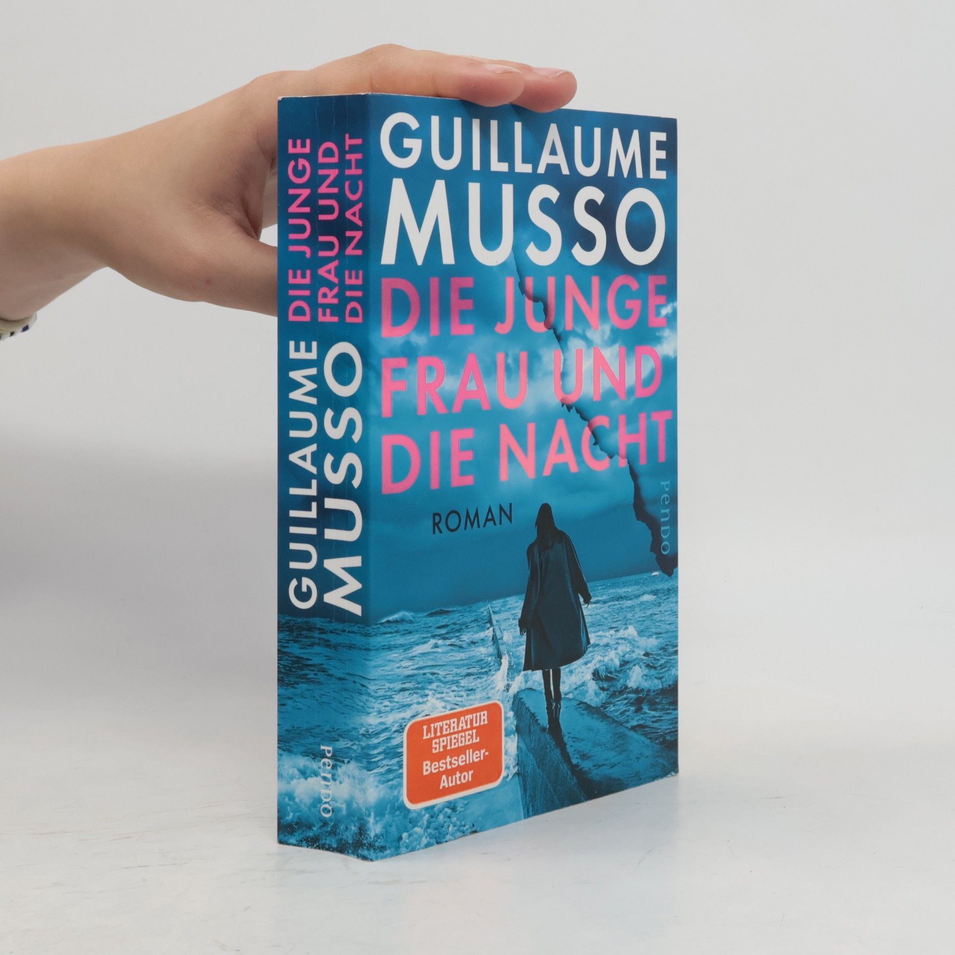 Guillaume Musso Die junge Frau und die Nacht