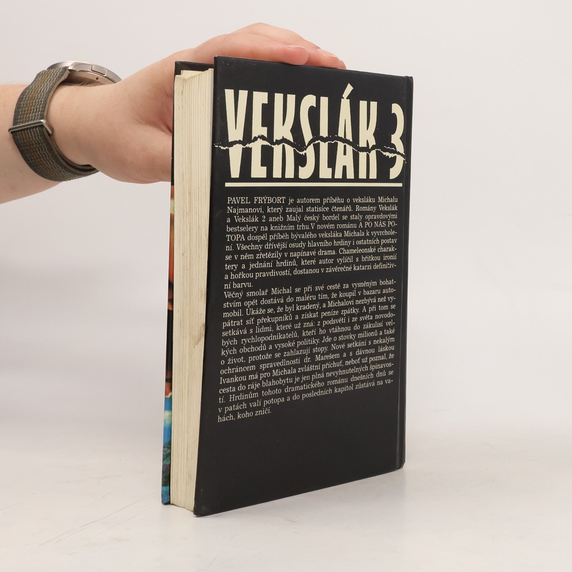 Pavel Frýbort Vekslák 3. A po nás potopa